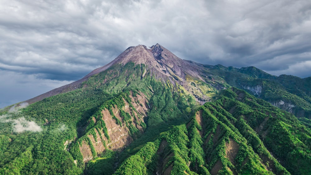 a mountain with trees on it