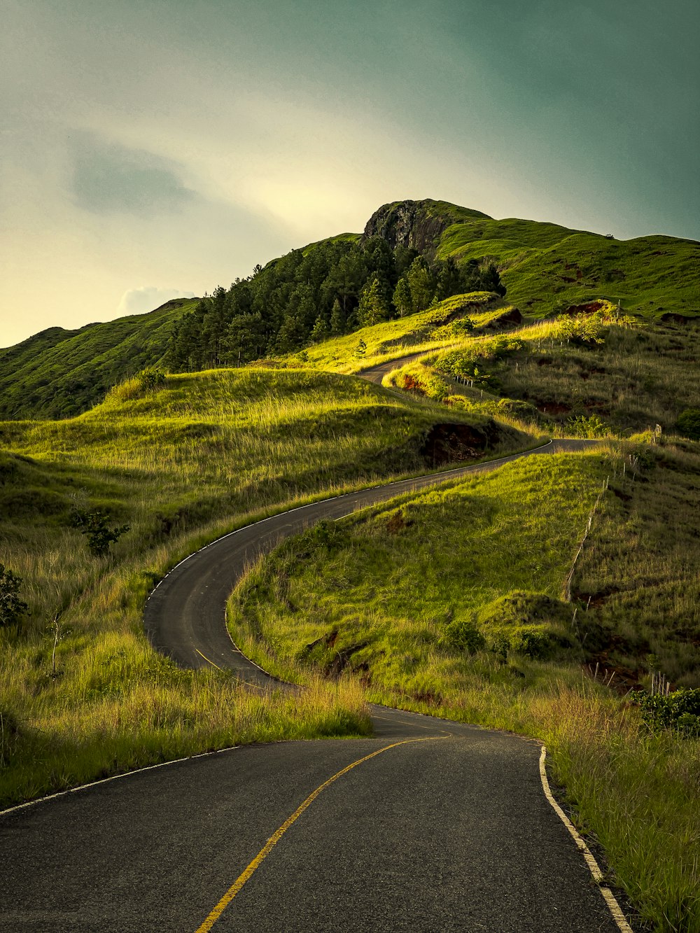 a road going through a grassy area