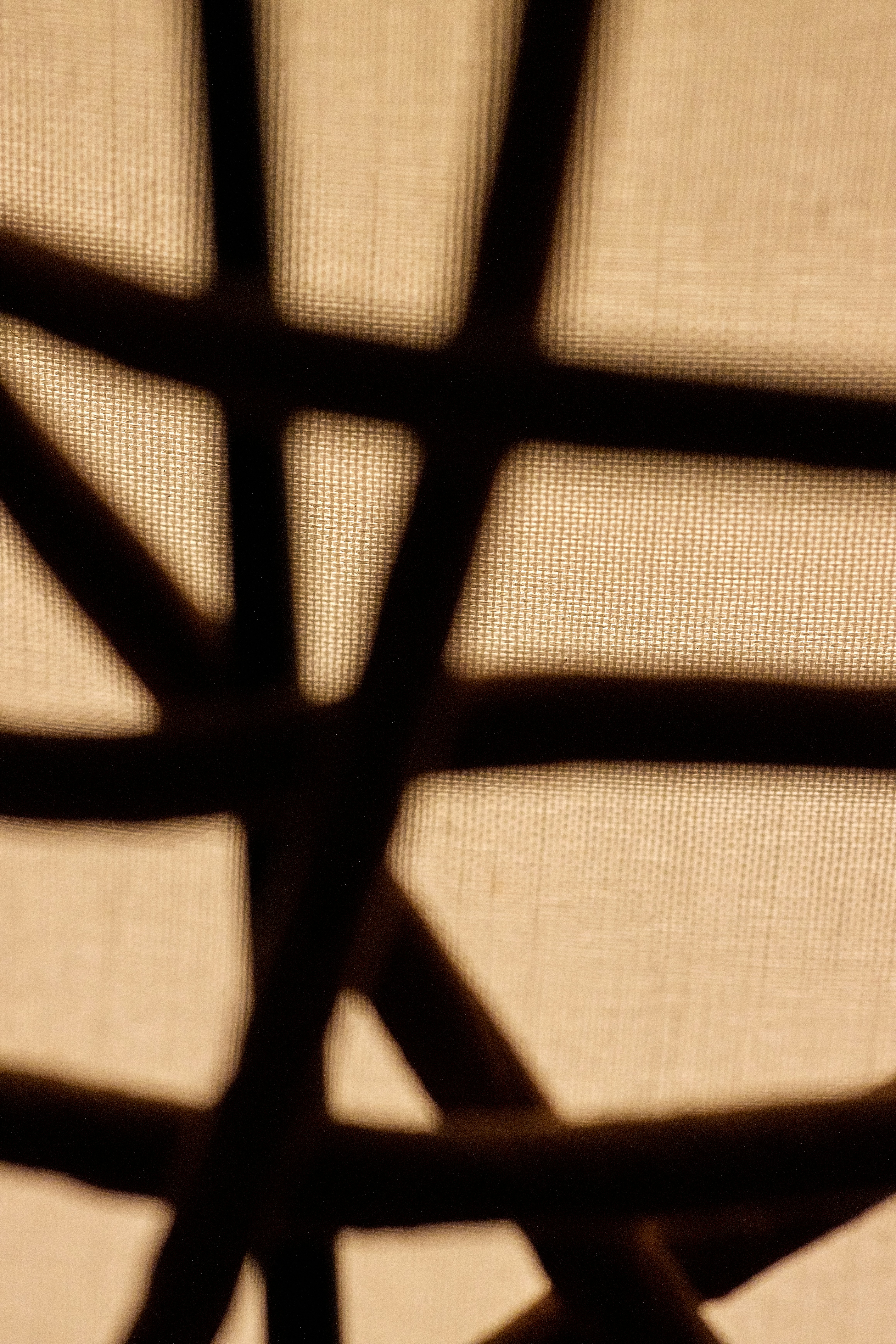 Photo by oscarsalgado