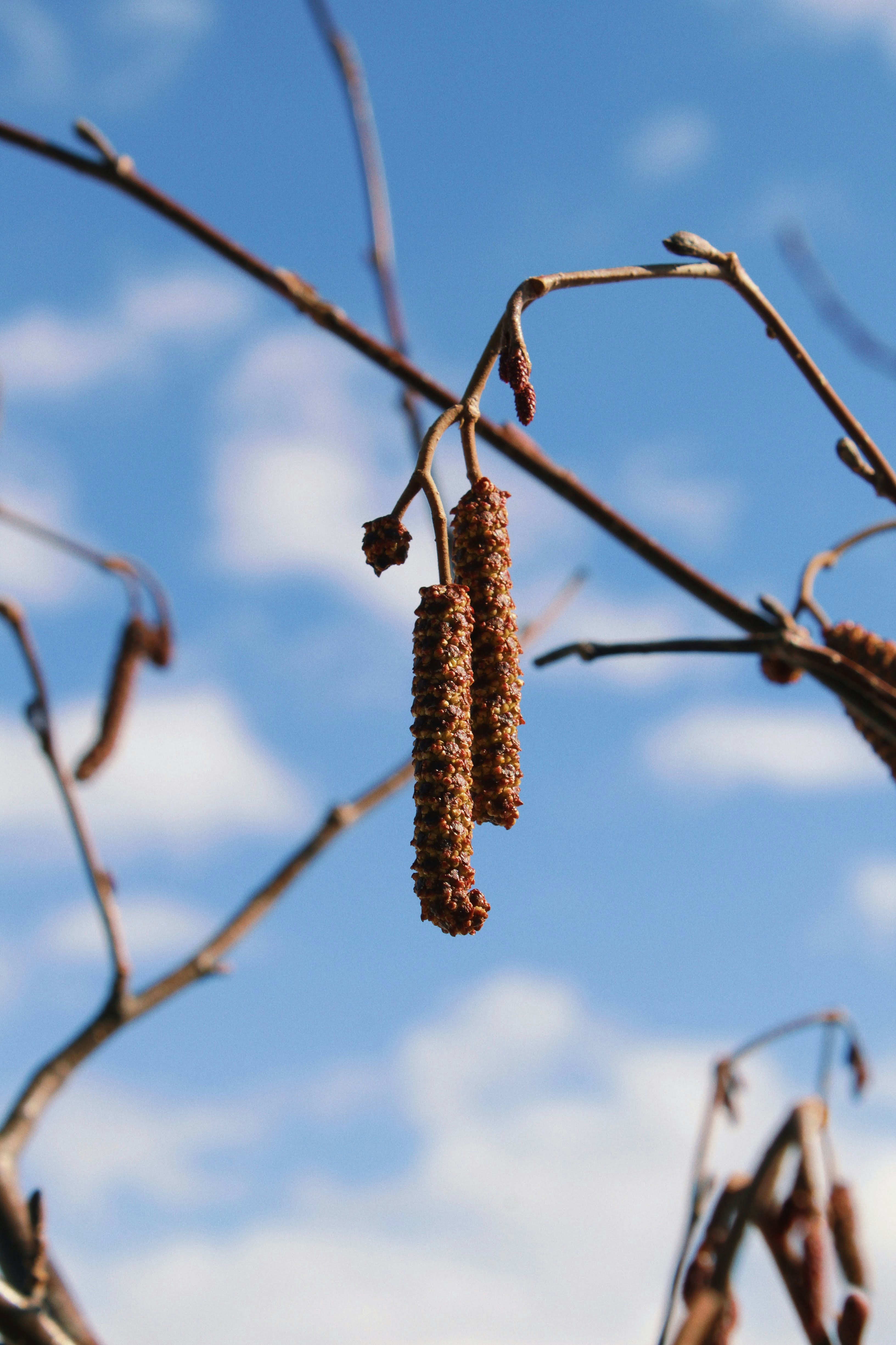 Photo by katherinestpierre