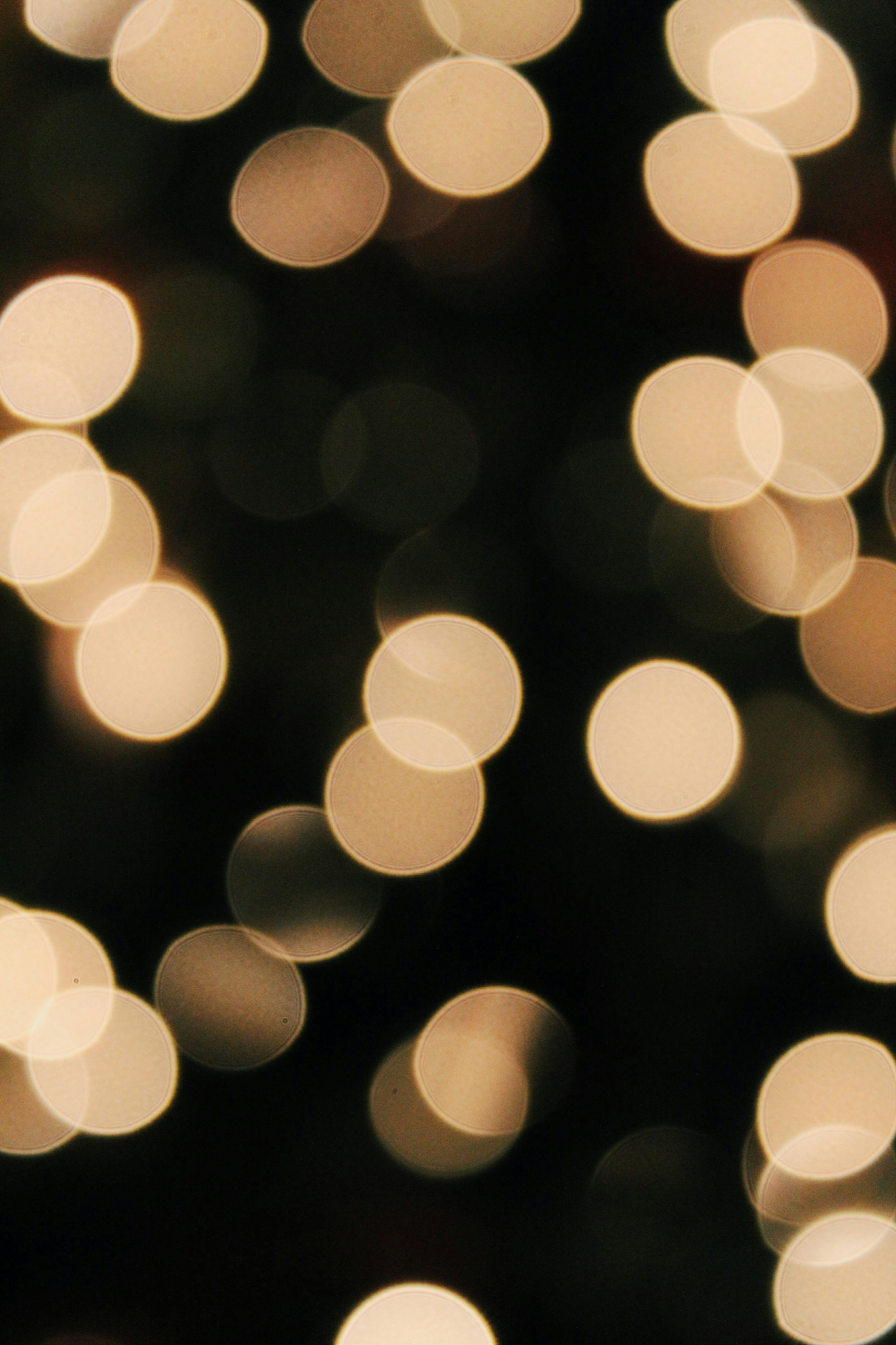 Photo by katherinestpierre