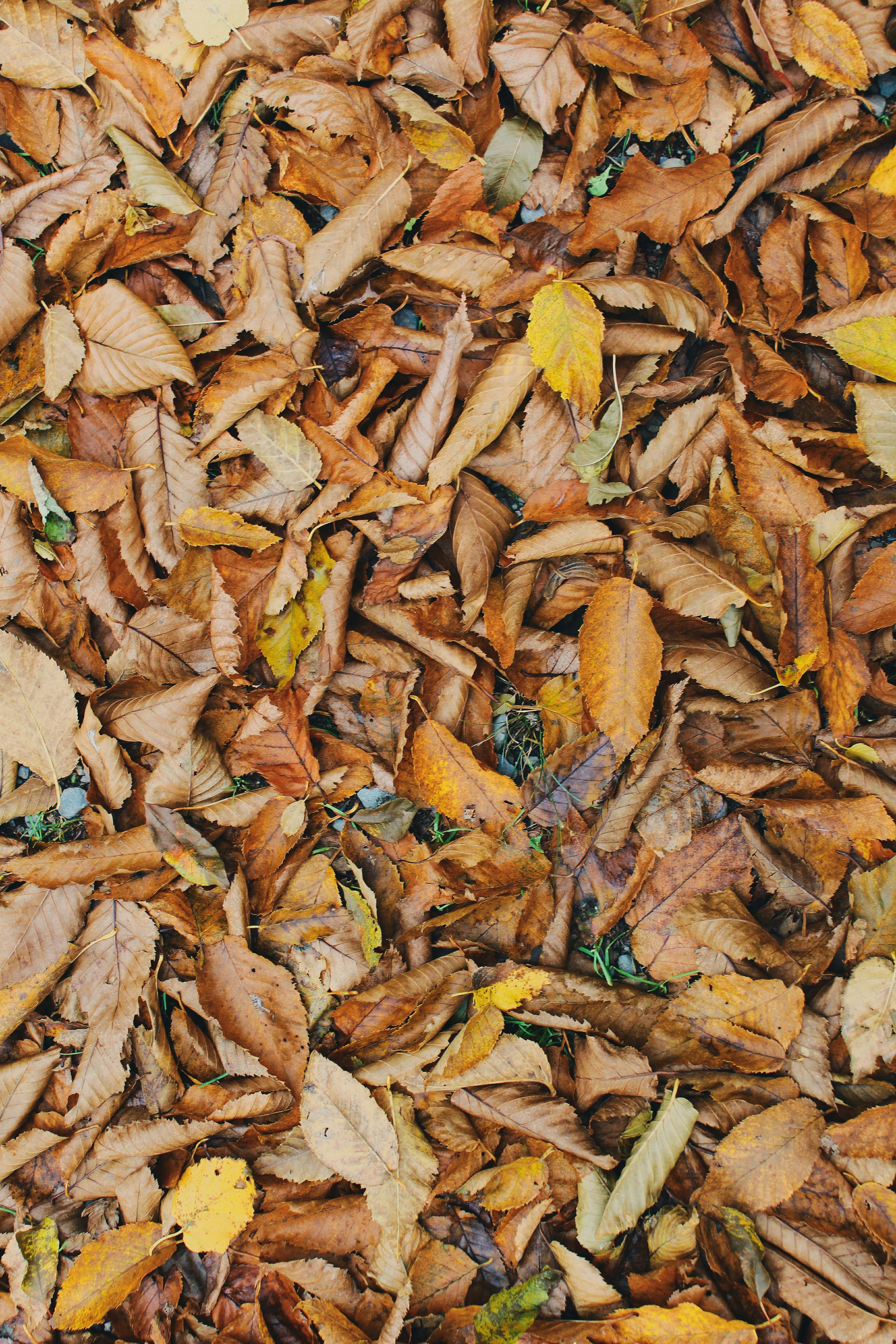 Photo by katherinestpierre