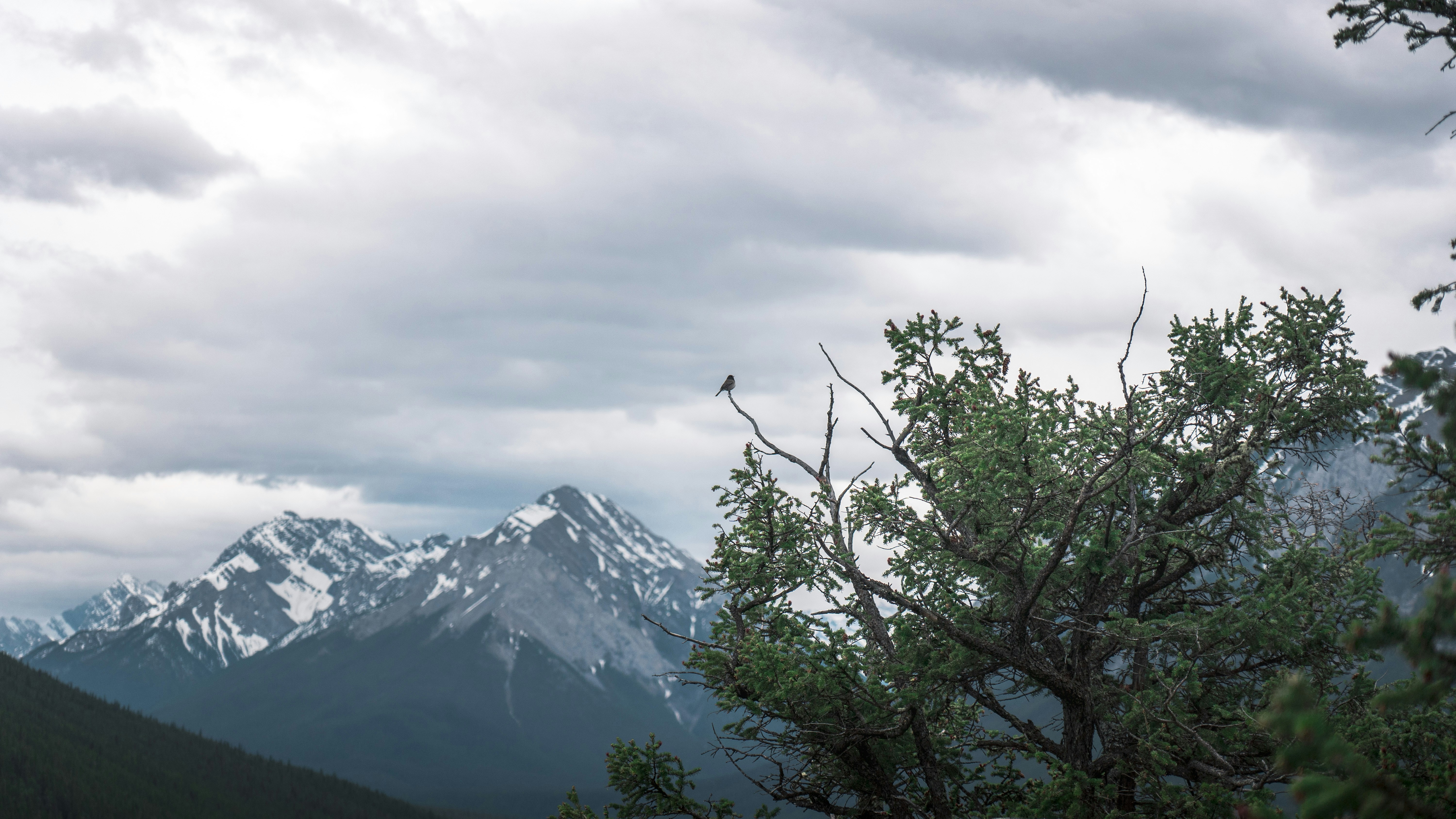 Photo by tfrankcreations