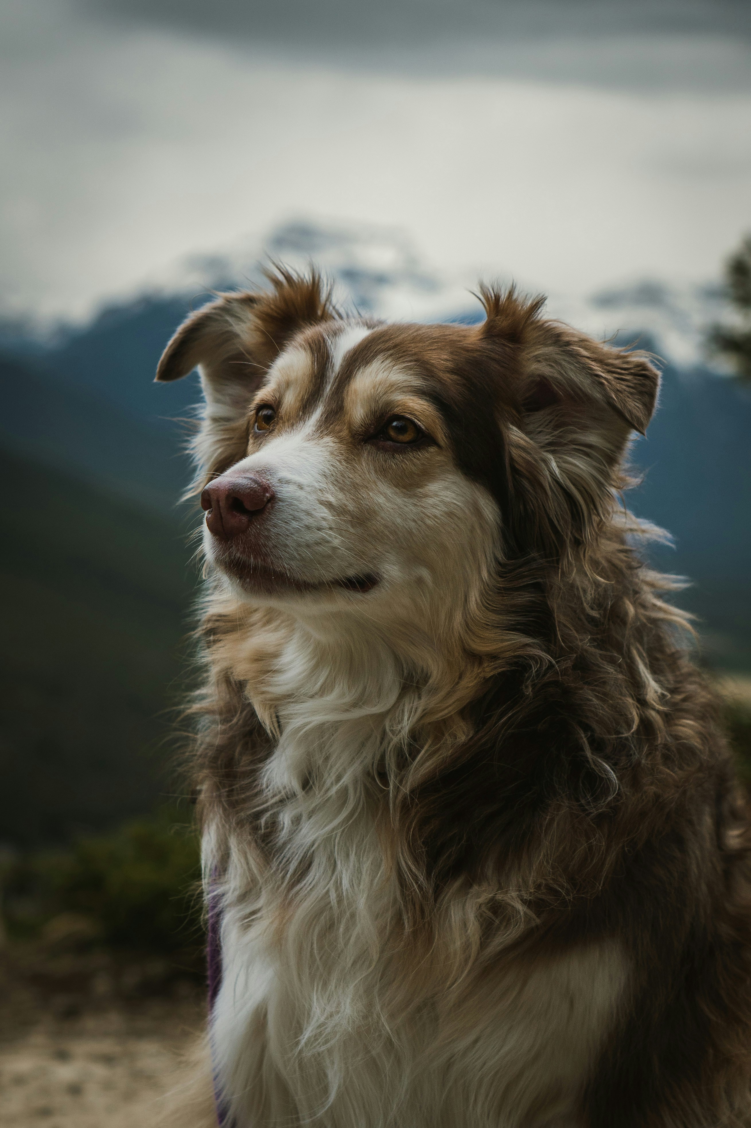 Photo by tfrankcreations