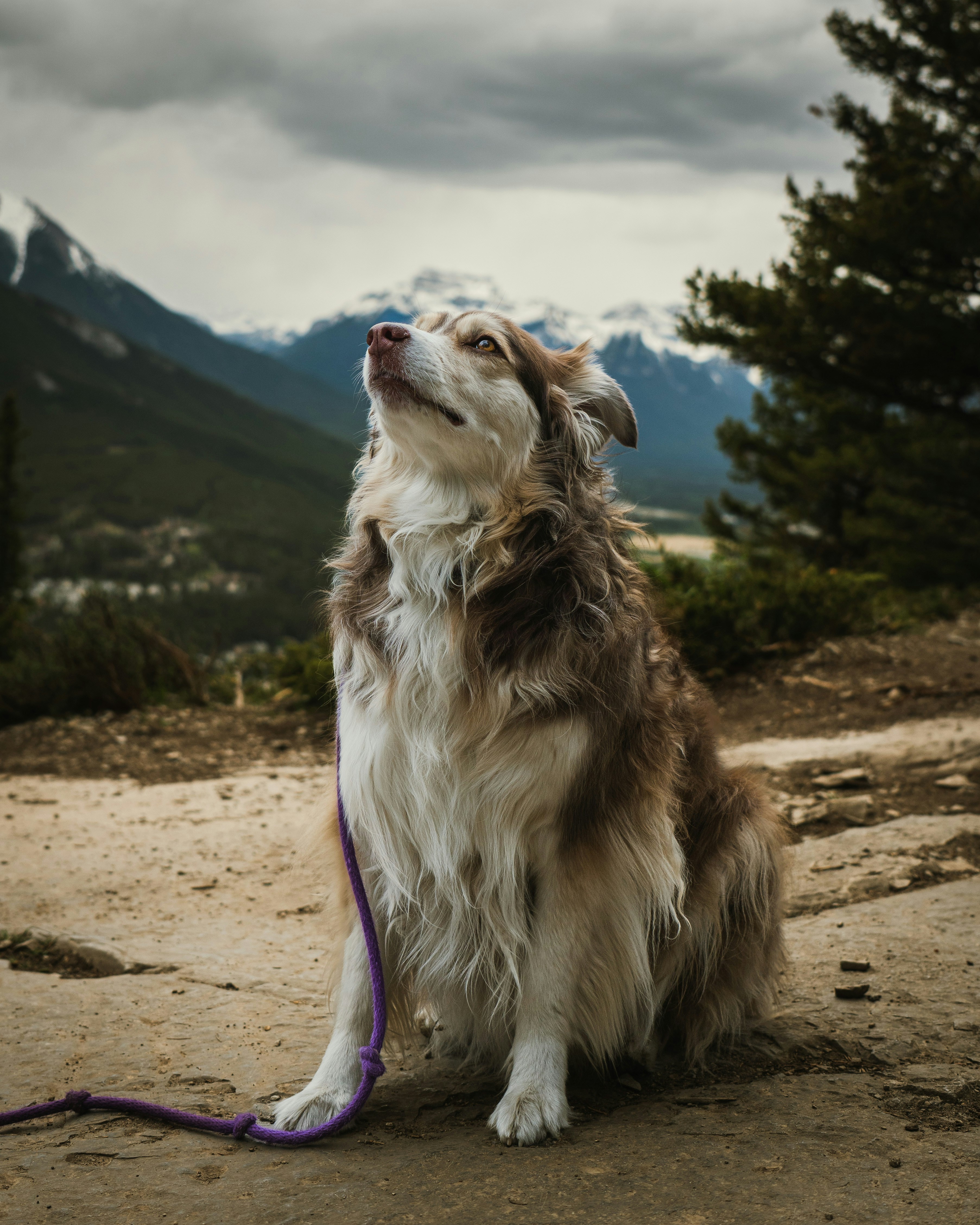 Photo by tfrankcreations