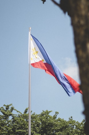 a flag on a pole
