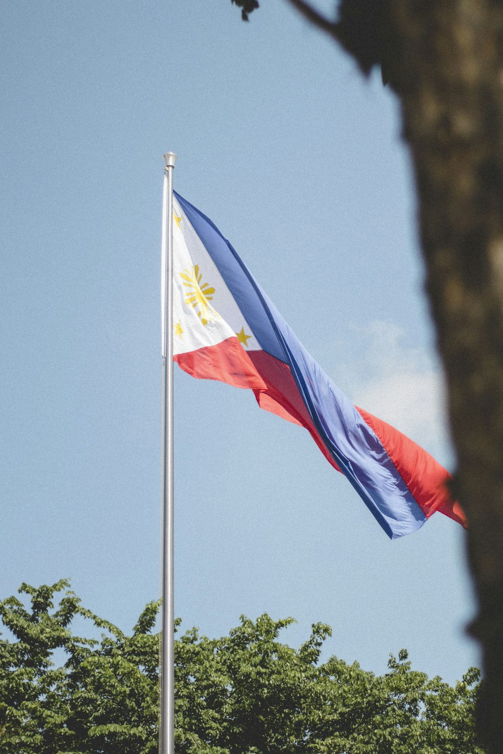 a flag on a pole