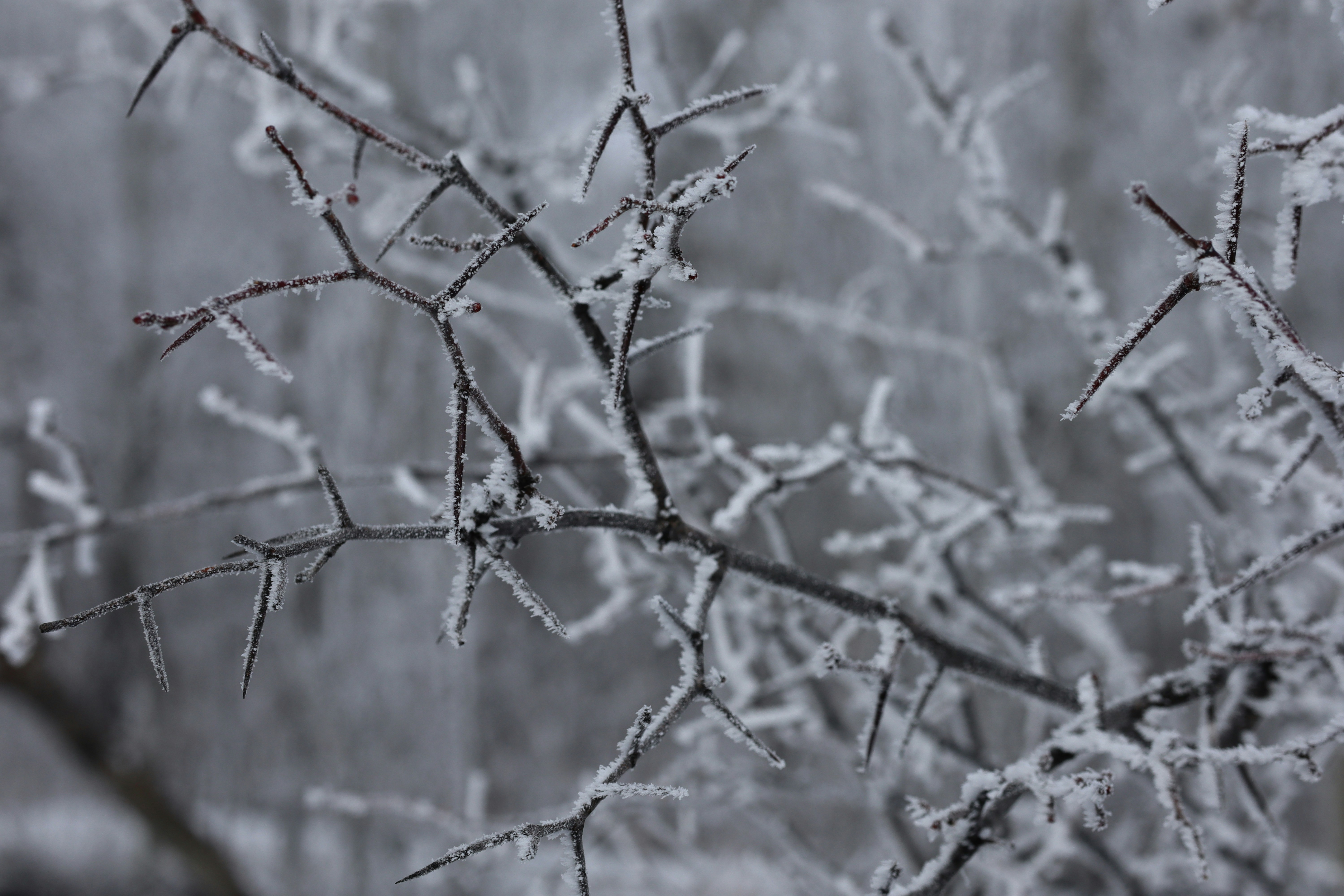 Photo by travis_br0wn_