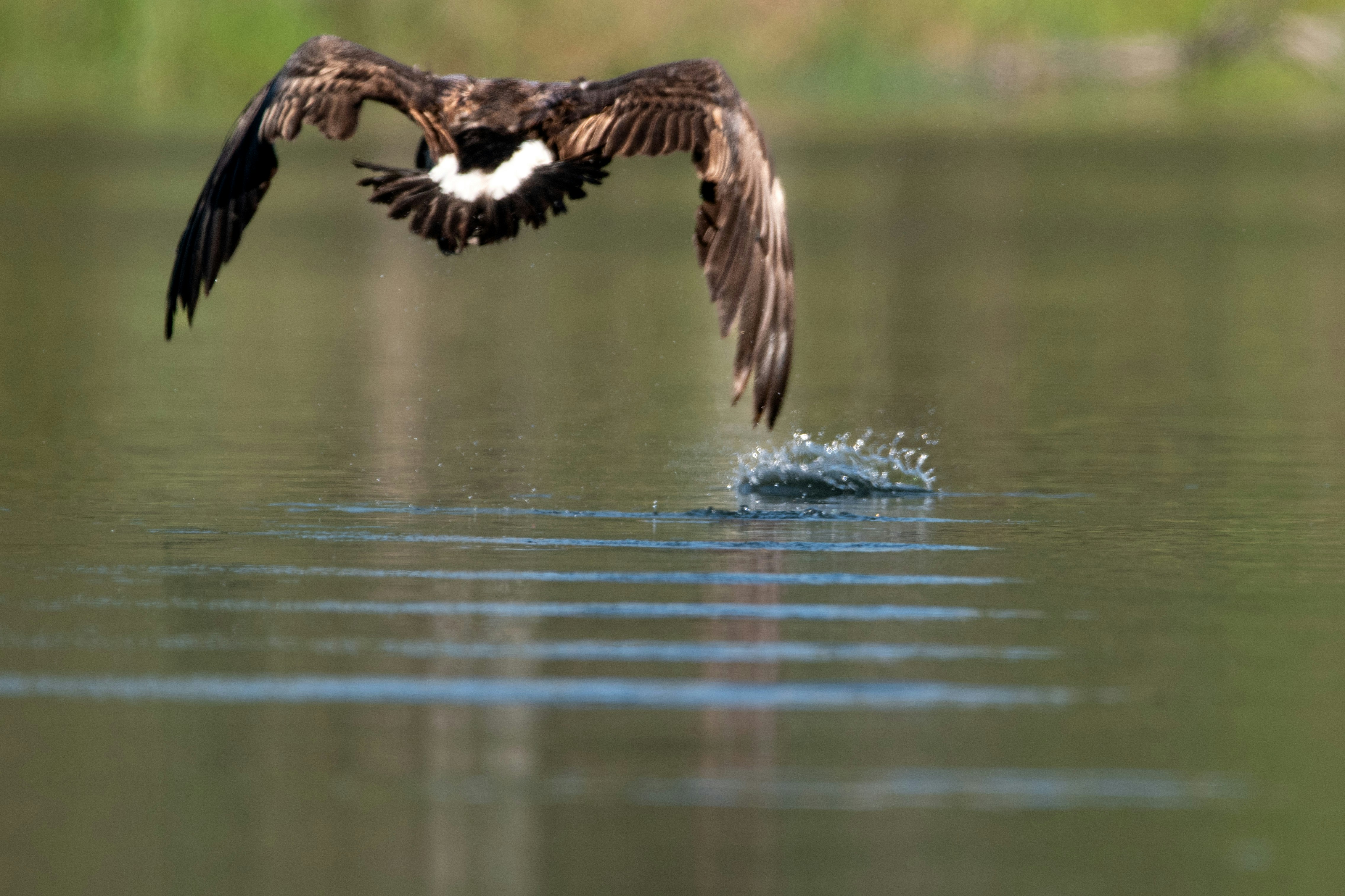 Photo by elisastonephotography