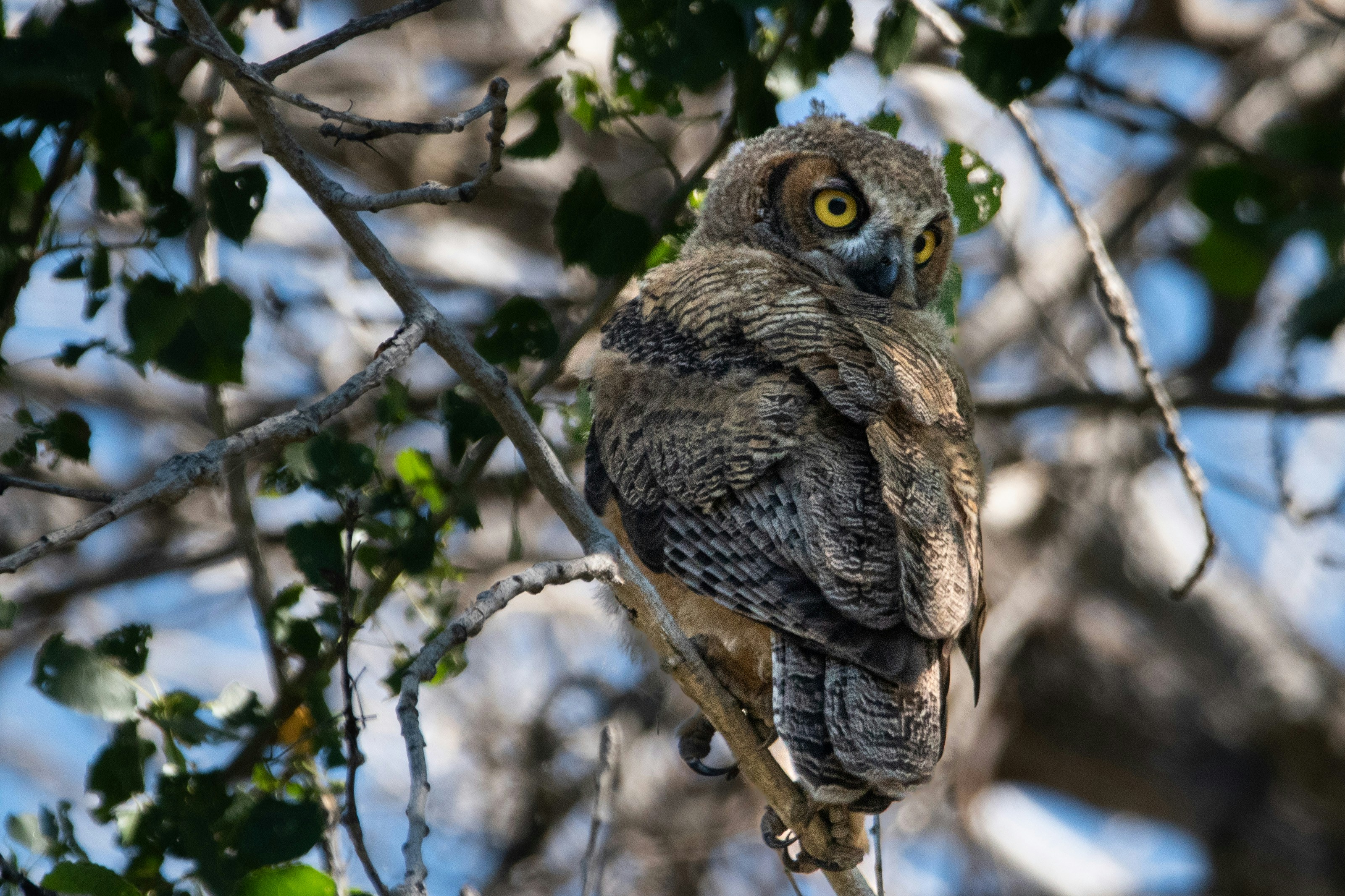 Photo by elisastonephotography