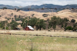 Barbed wire fence in the foreground with a rural landscape in the background, featuring a red barn with a silver roof surrounded by trees and rolling hills under a cloudy sky.