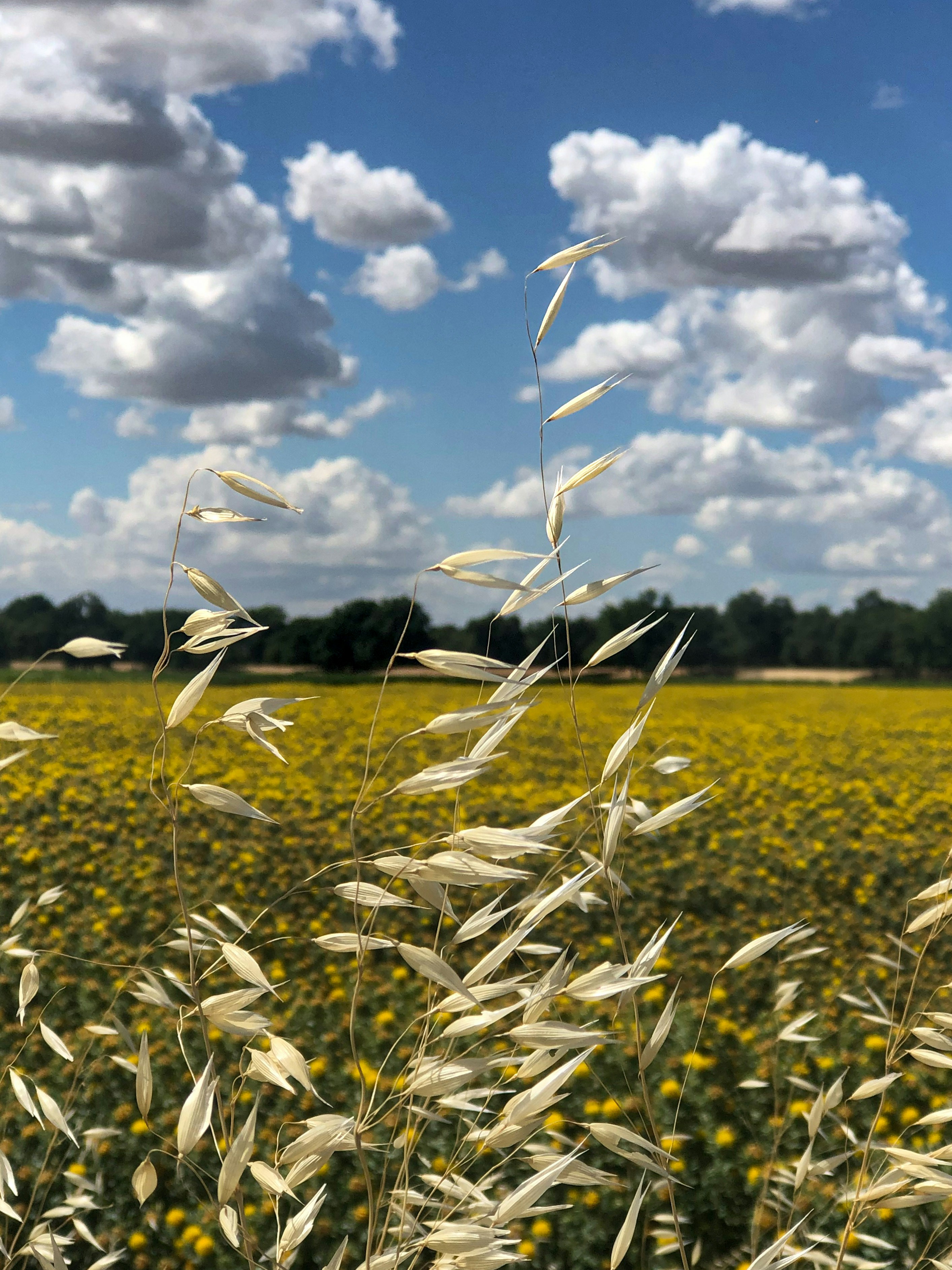 Photo by elisastonephotography