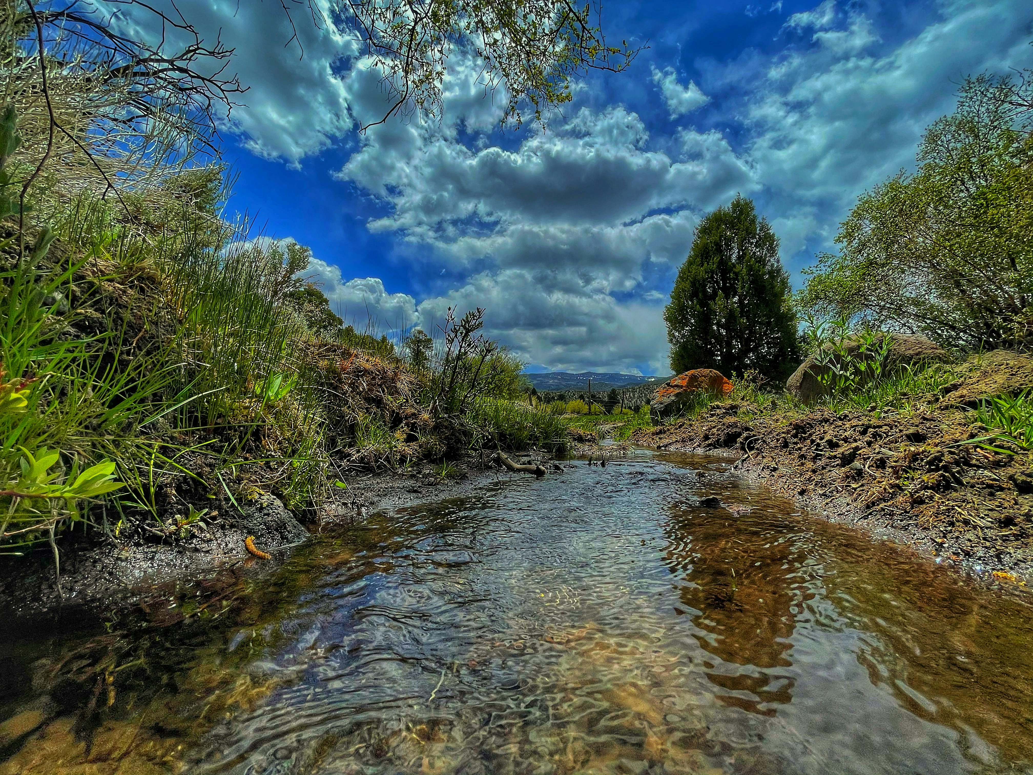 Photo by oculareuphoria