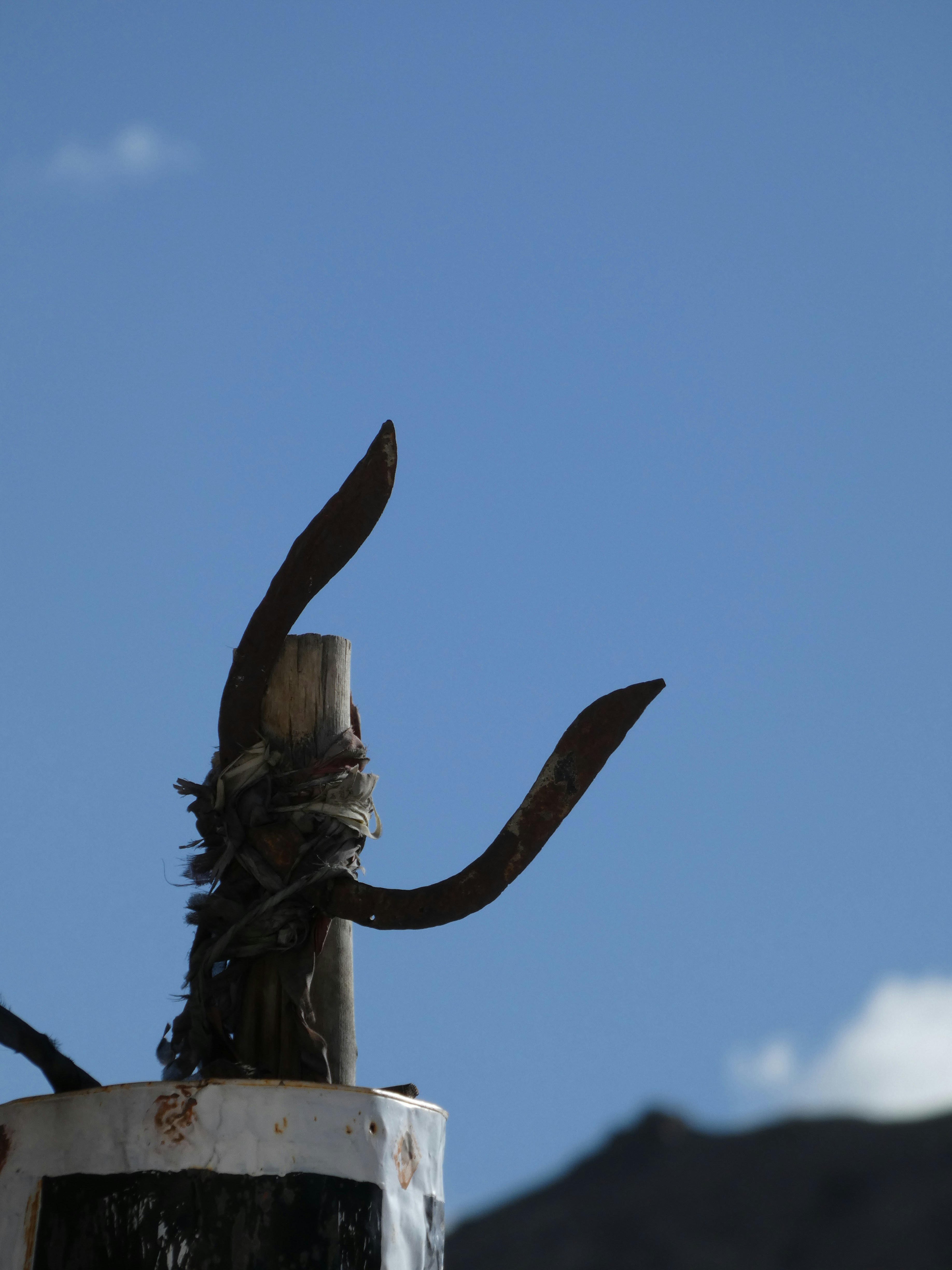 Photo by akashravuri