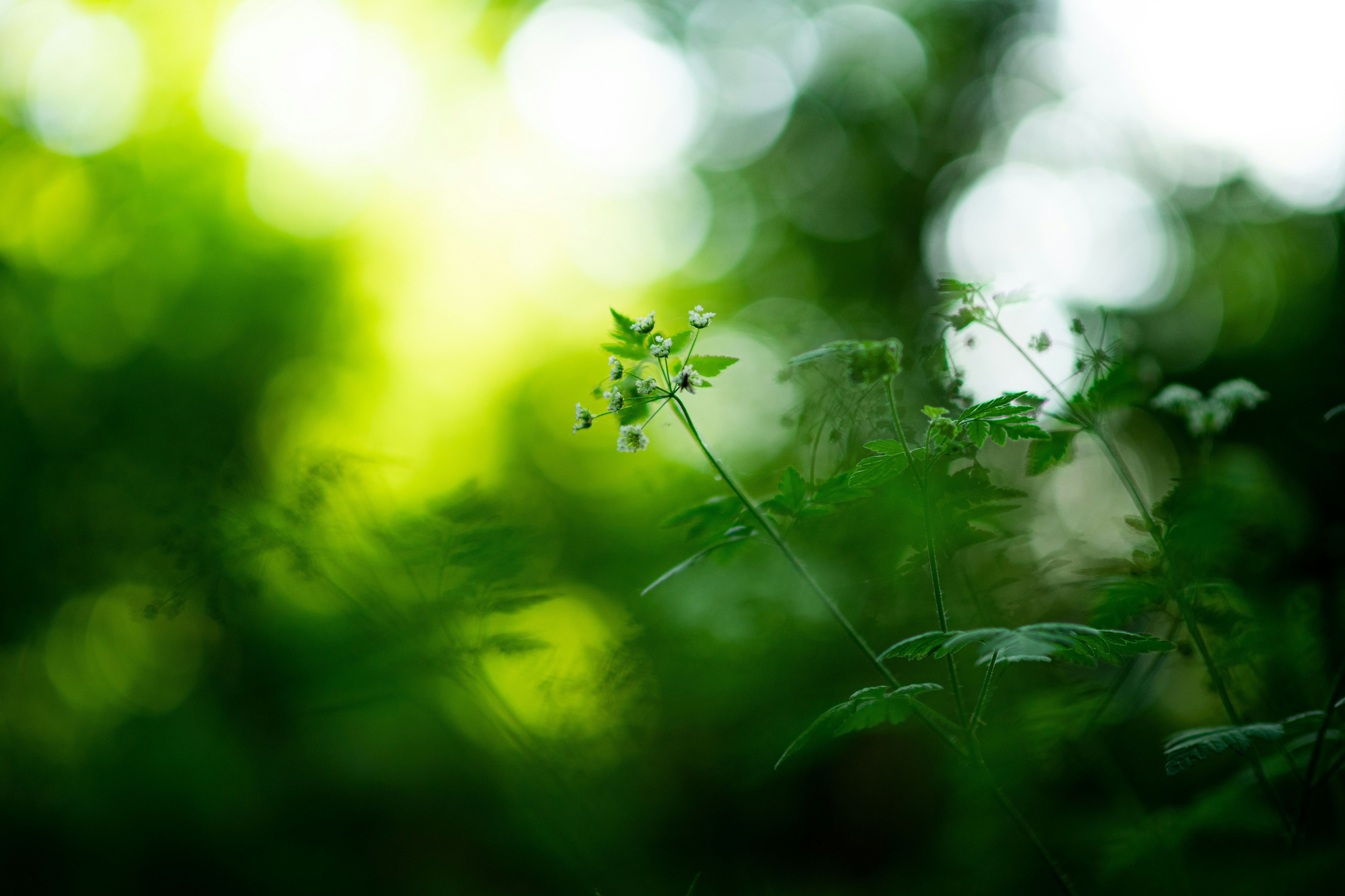 Photo by jerrografie