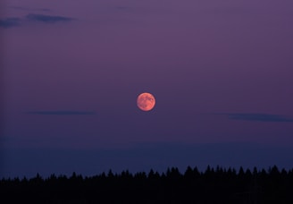 A scarlet wolf silhouetted against a glowing full moon with swirling purple clouds.