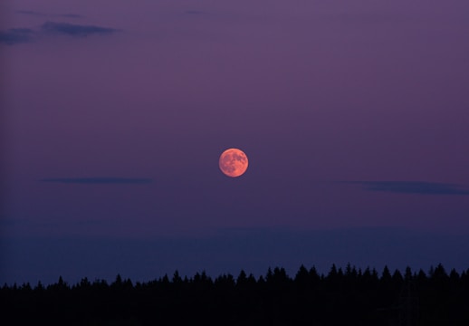A scarlet wolf silhouetted against a glowing full moon with swirling purple clouds.