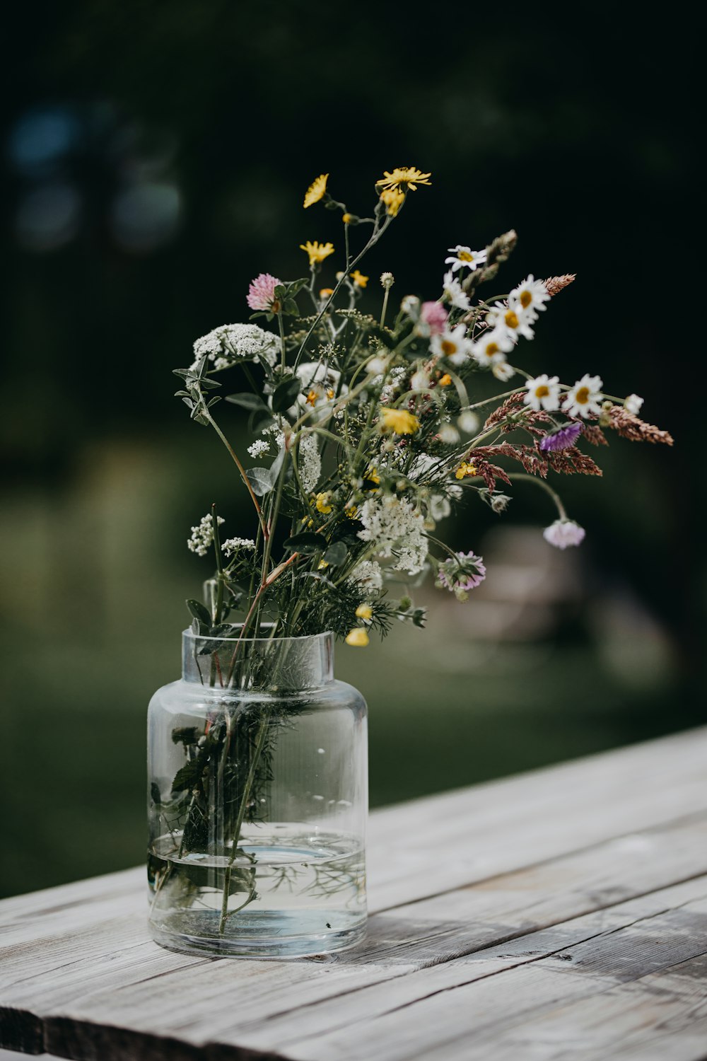 eine Vase mit Blumen