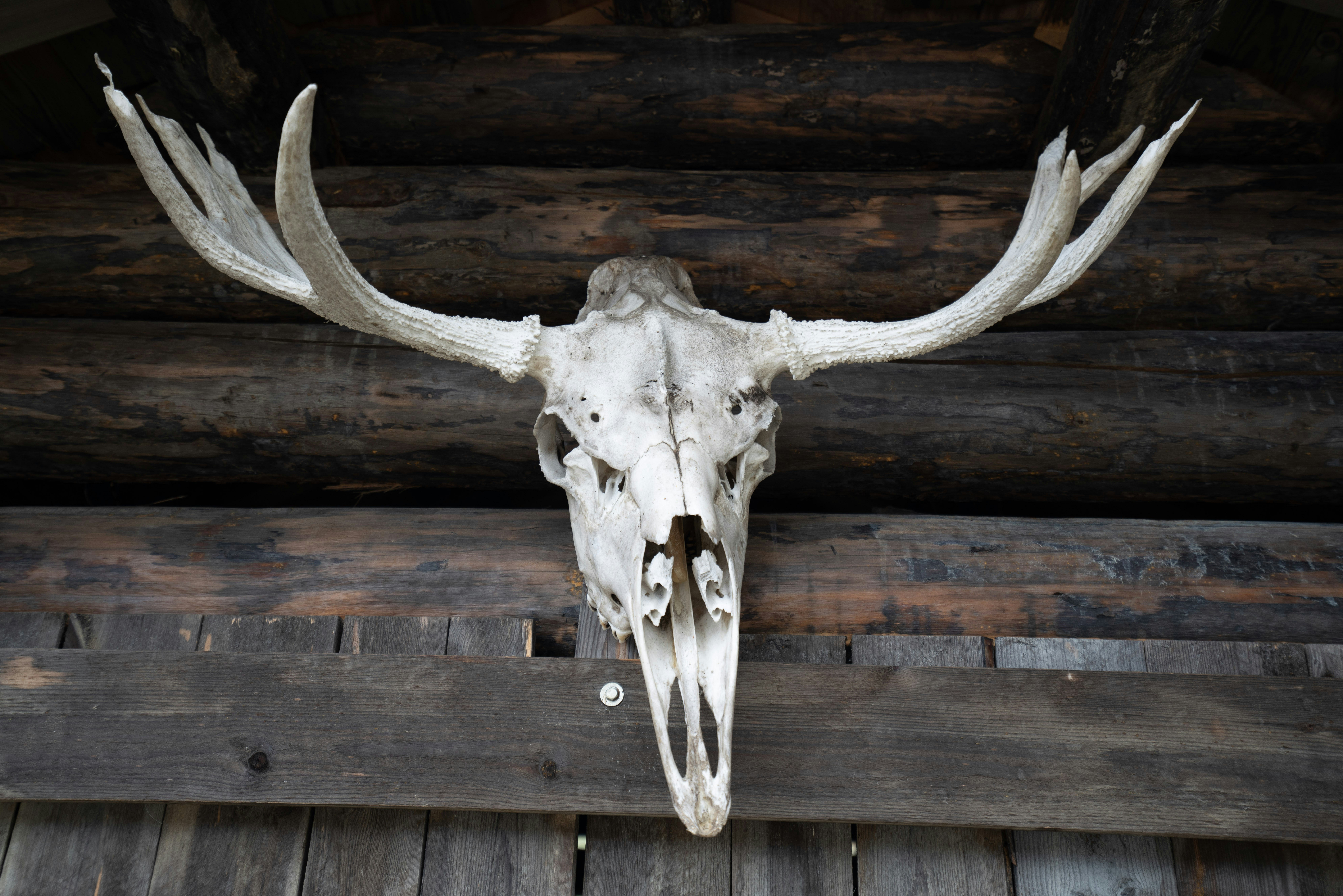 Photo by datingscout