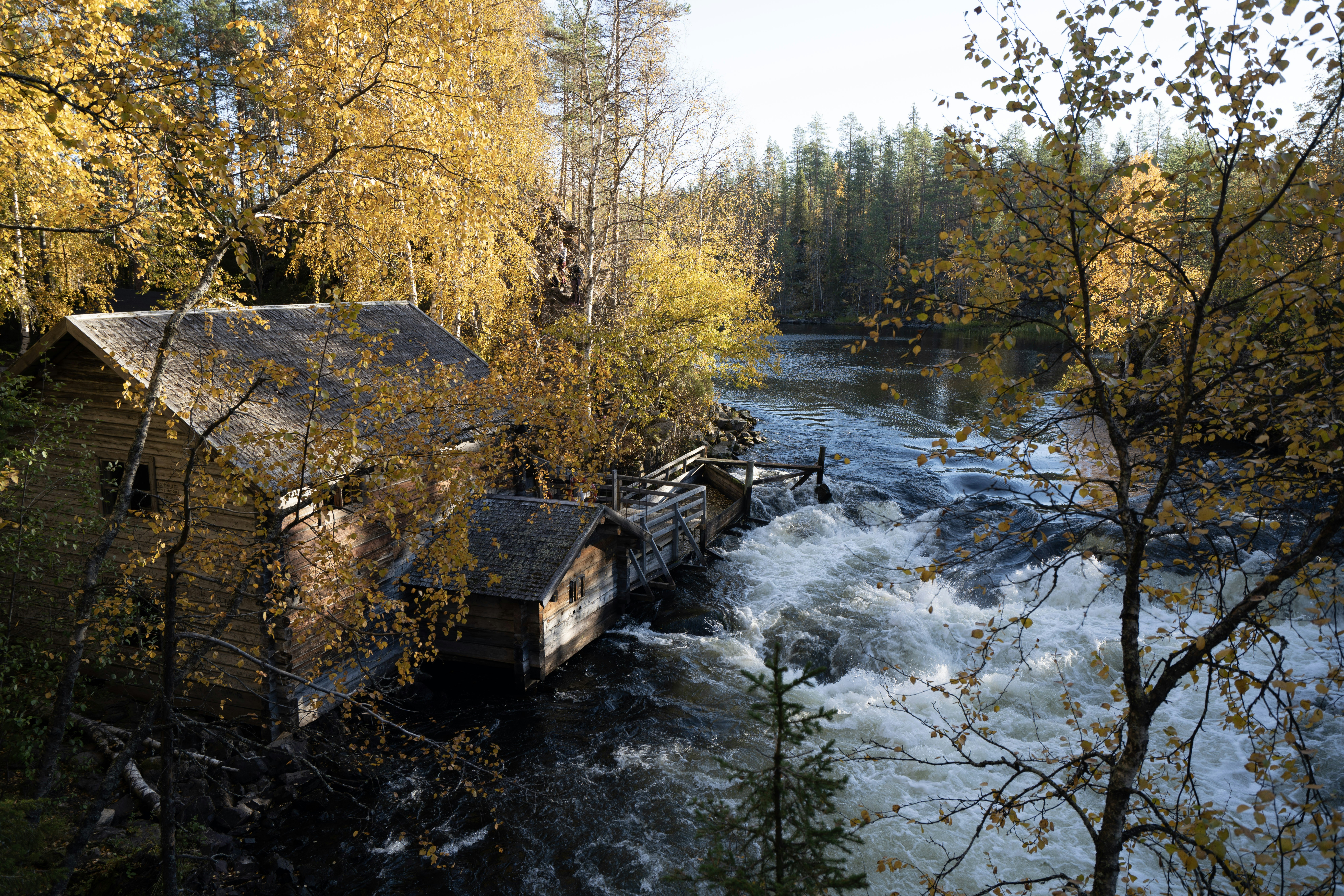 Photo of Oulanka National Park