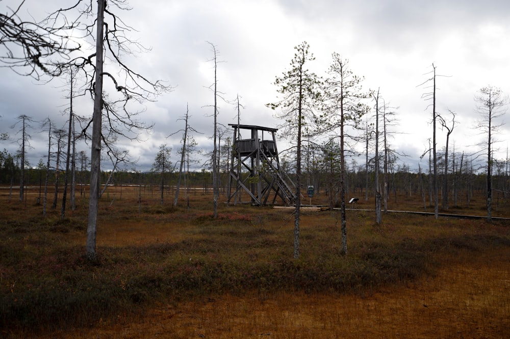 a structure in a field