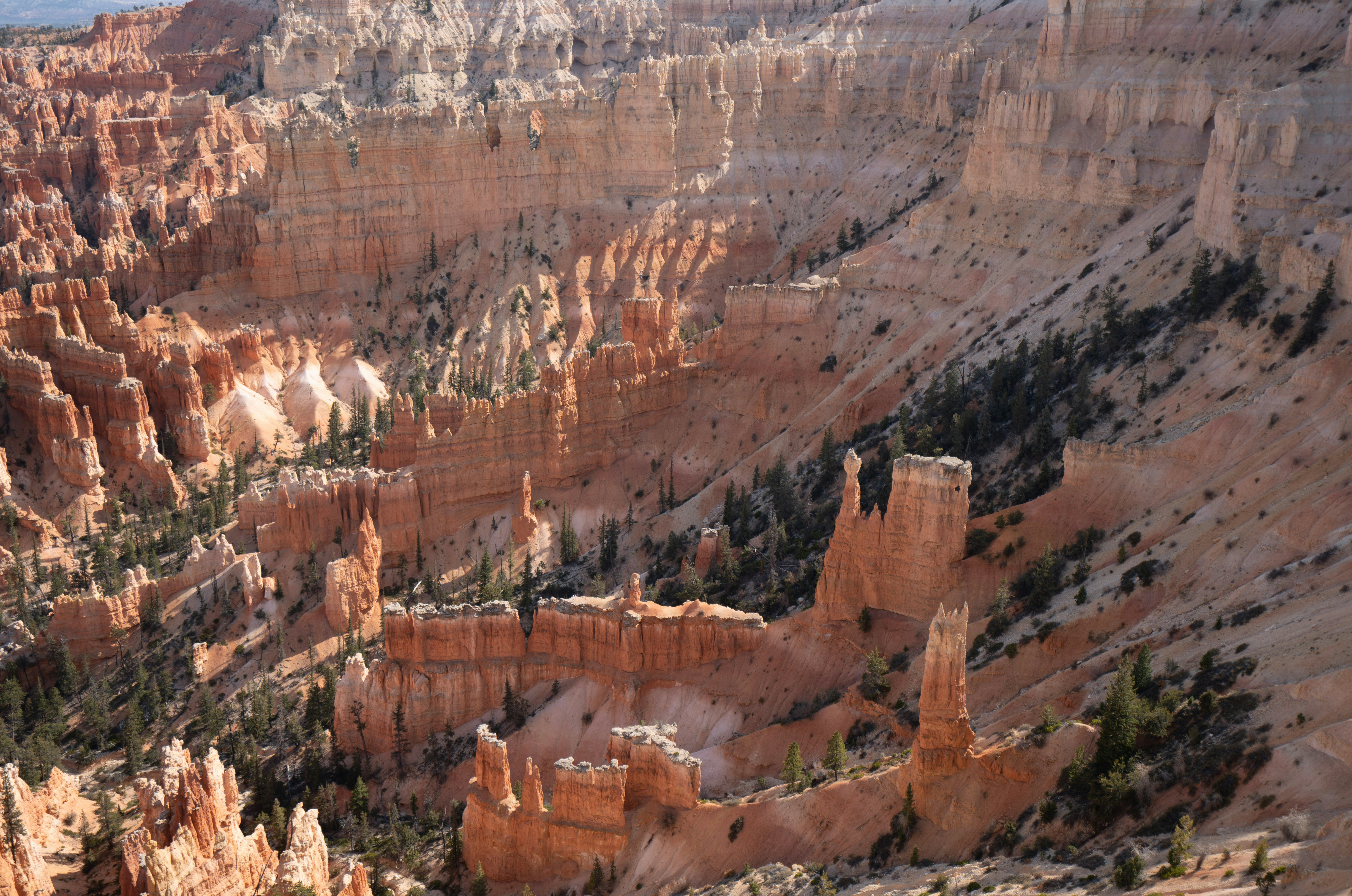 Photo by datingjungle