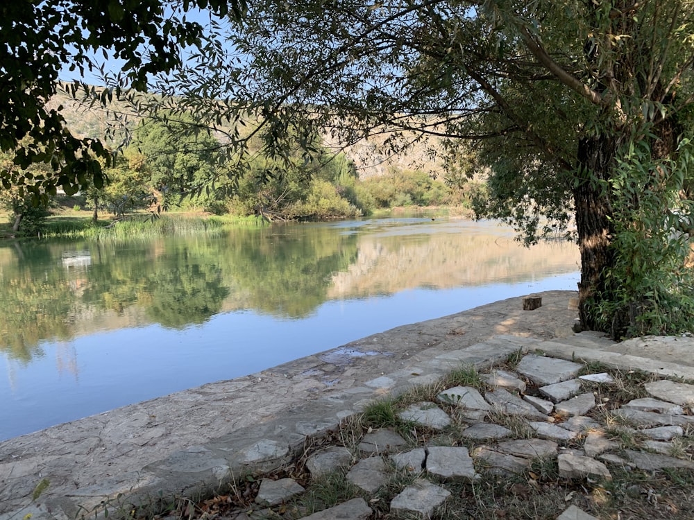 um rio com rochas e árvores