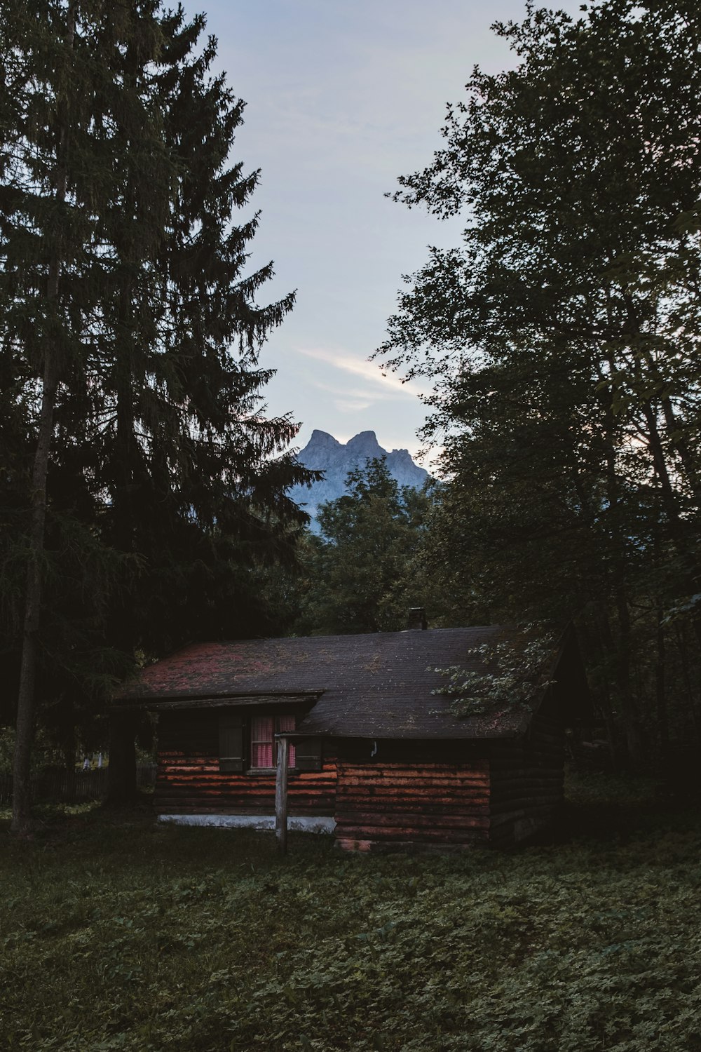 uma cabana na floresta