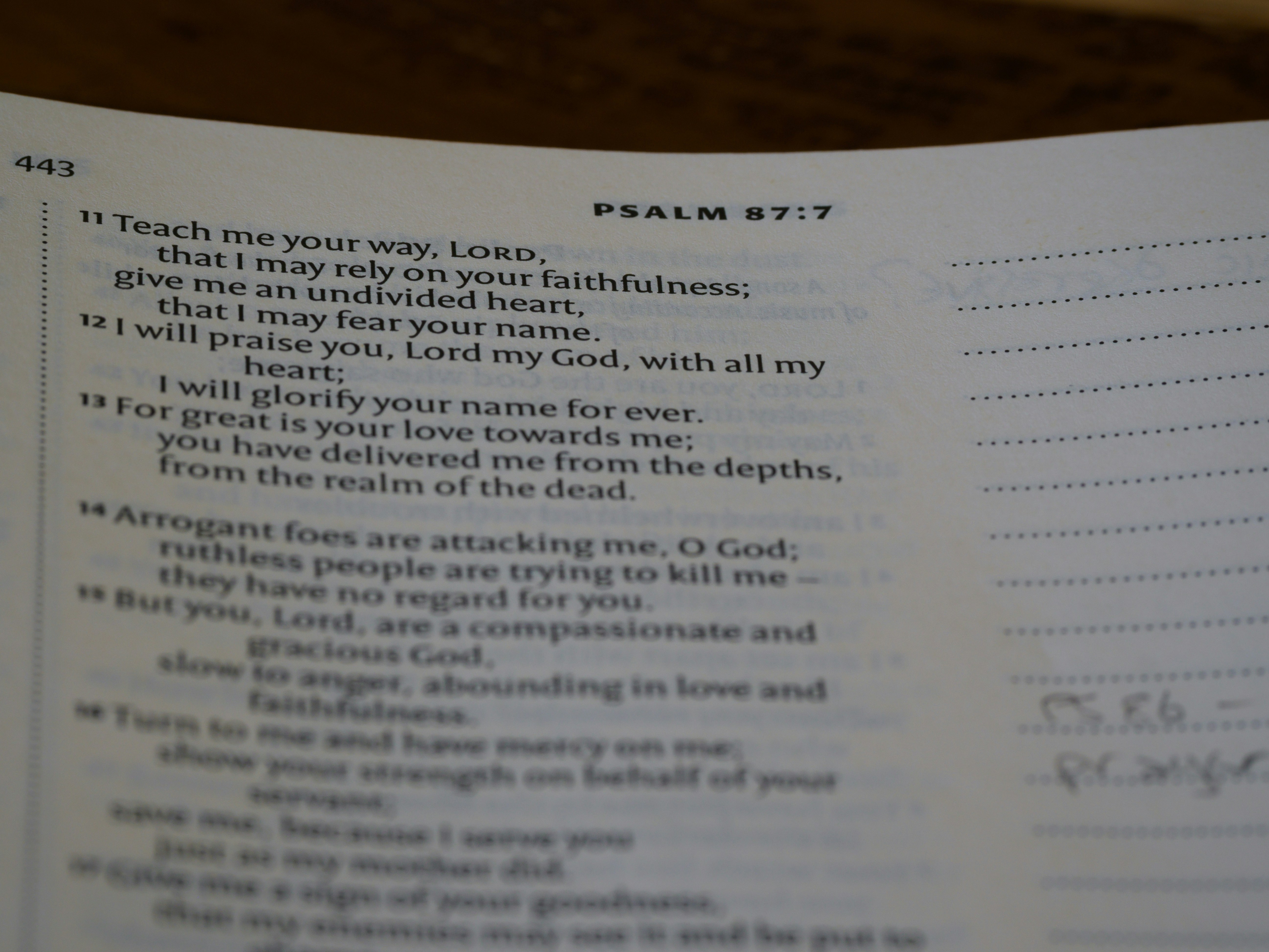 Abiding in Faith: Insights from John 15:4-5