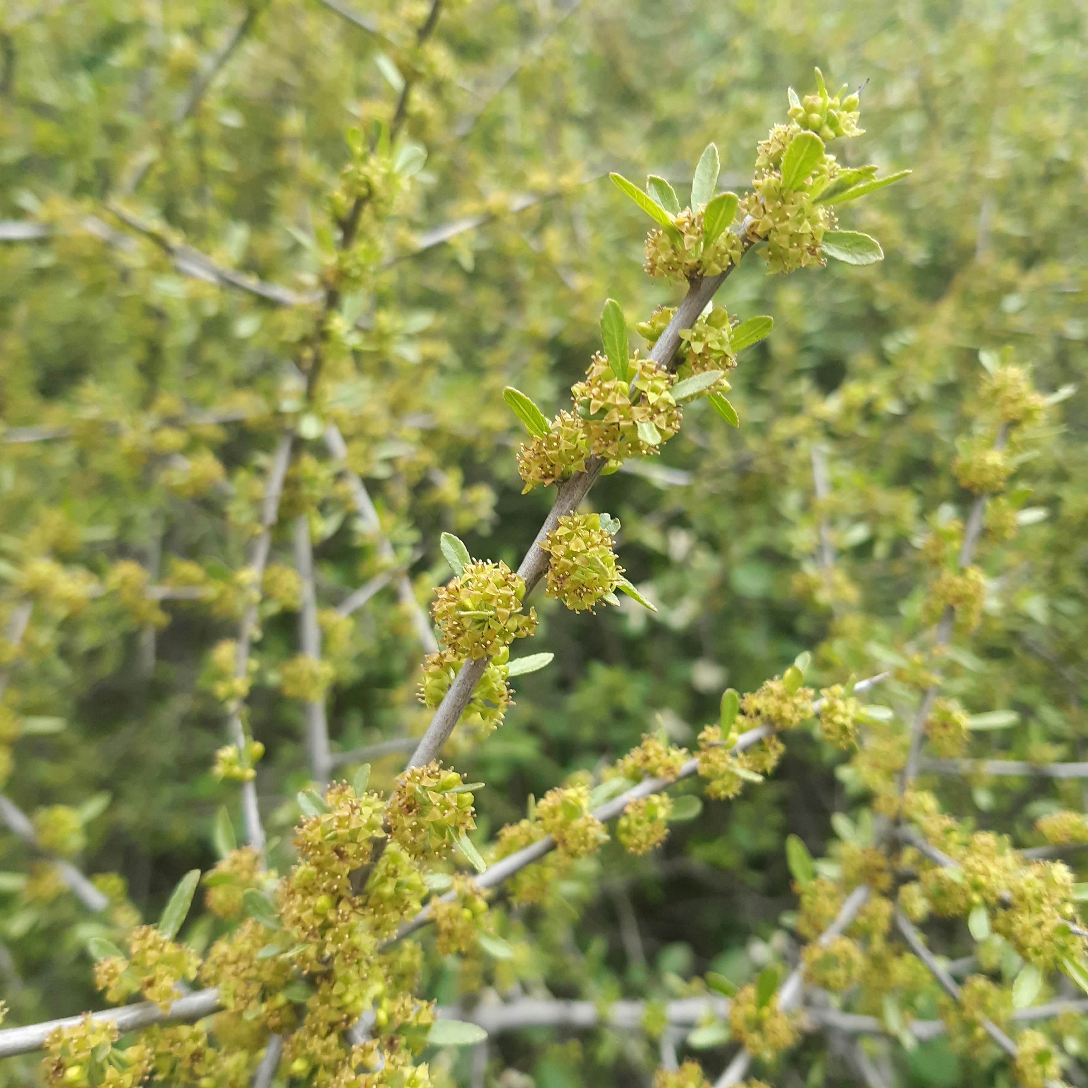 Photo by kimianemati