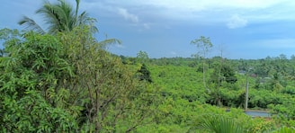 A lush tropical rainforest with local farmers planting trees together under a bright sky.