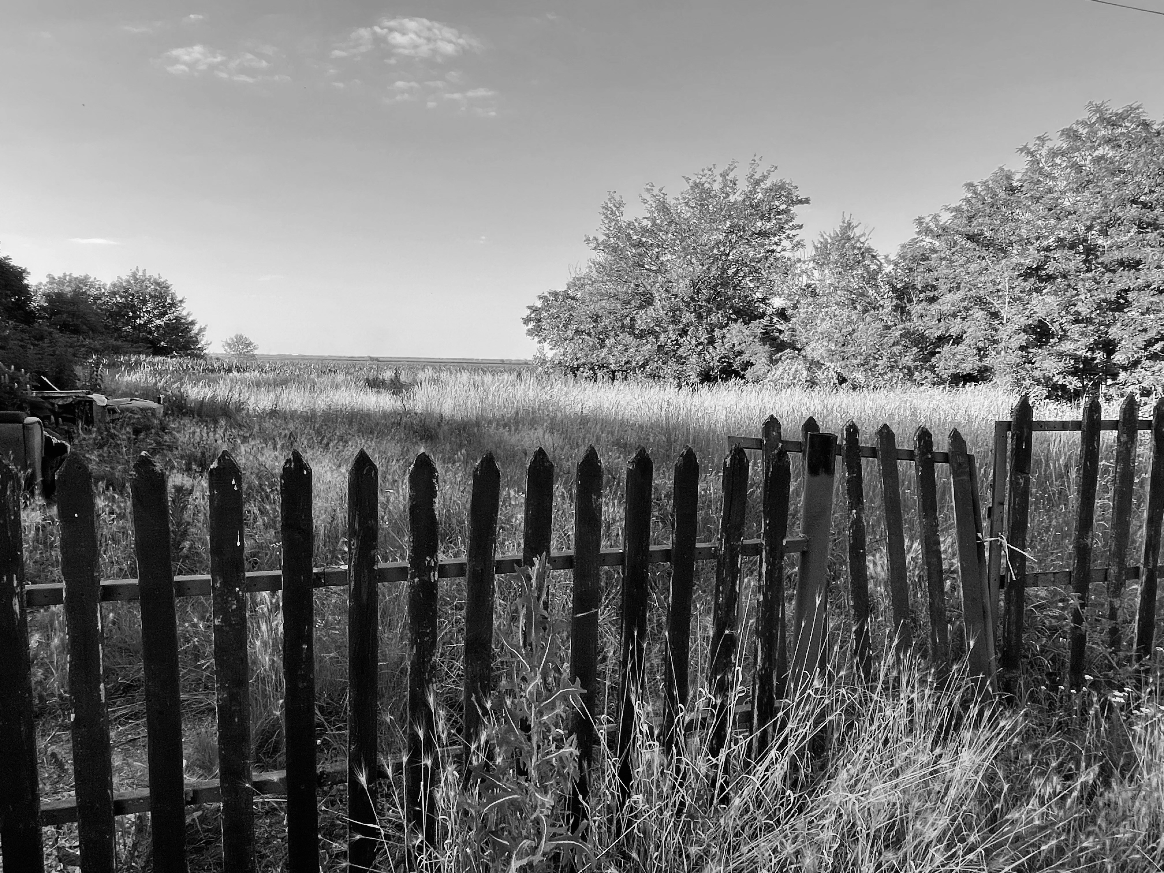 a fence in a field