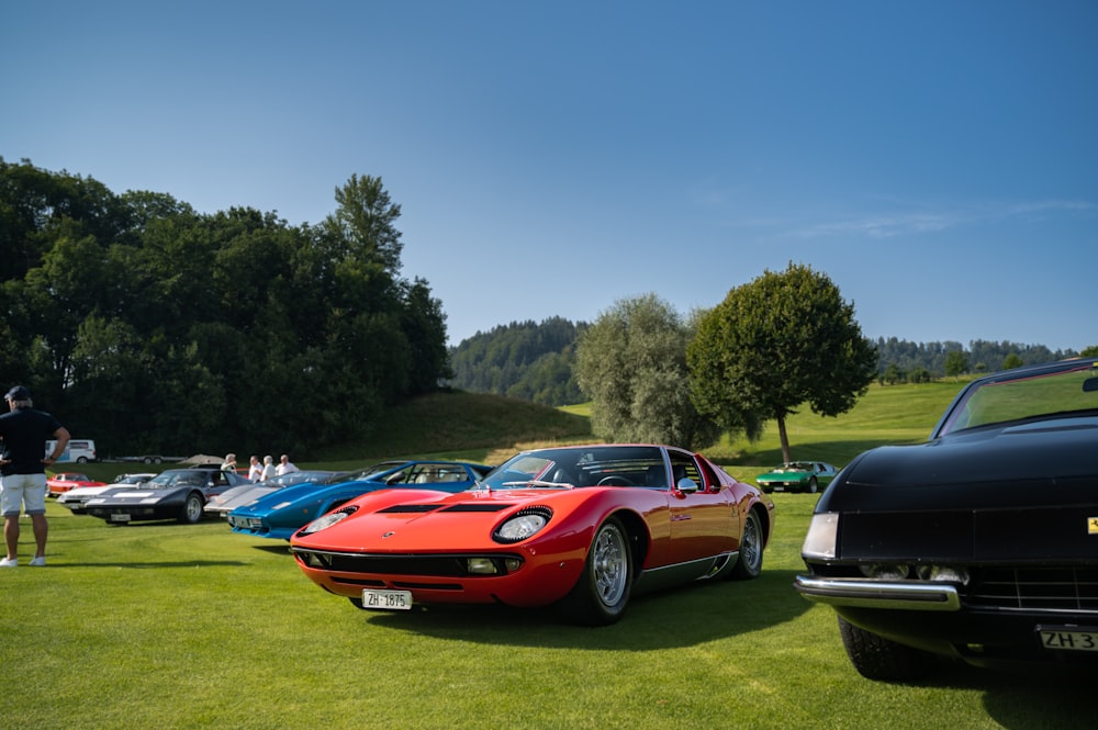 a group of cars parked on grass