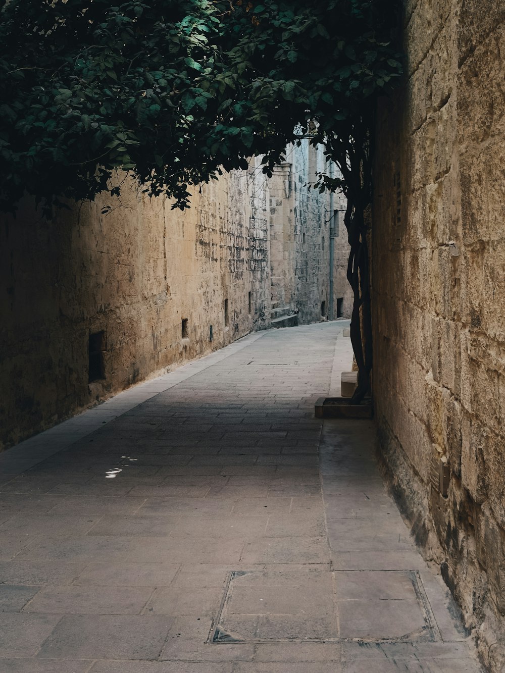 a stone walkway between two stone walls