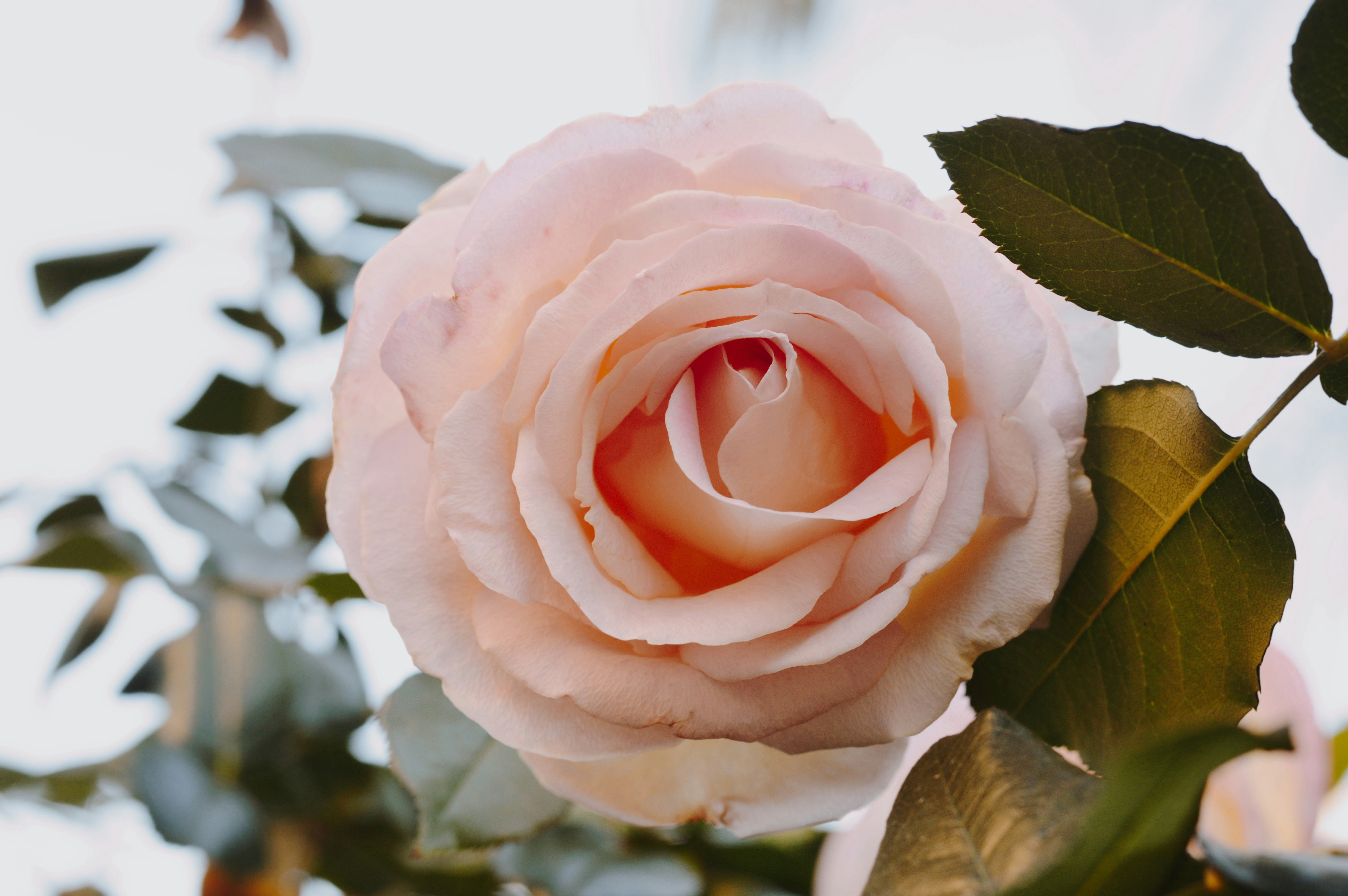 Photo by zoealexisphoto