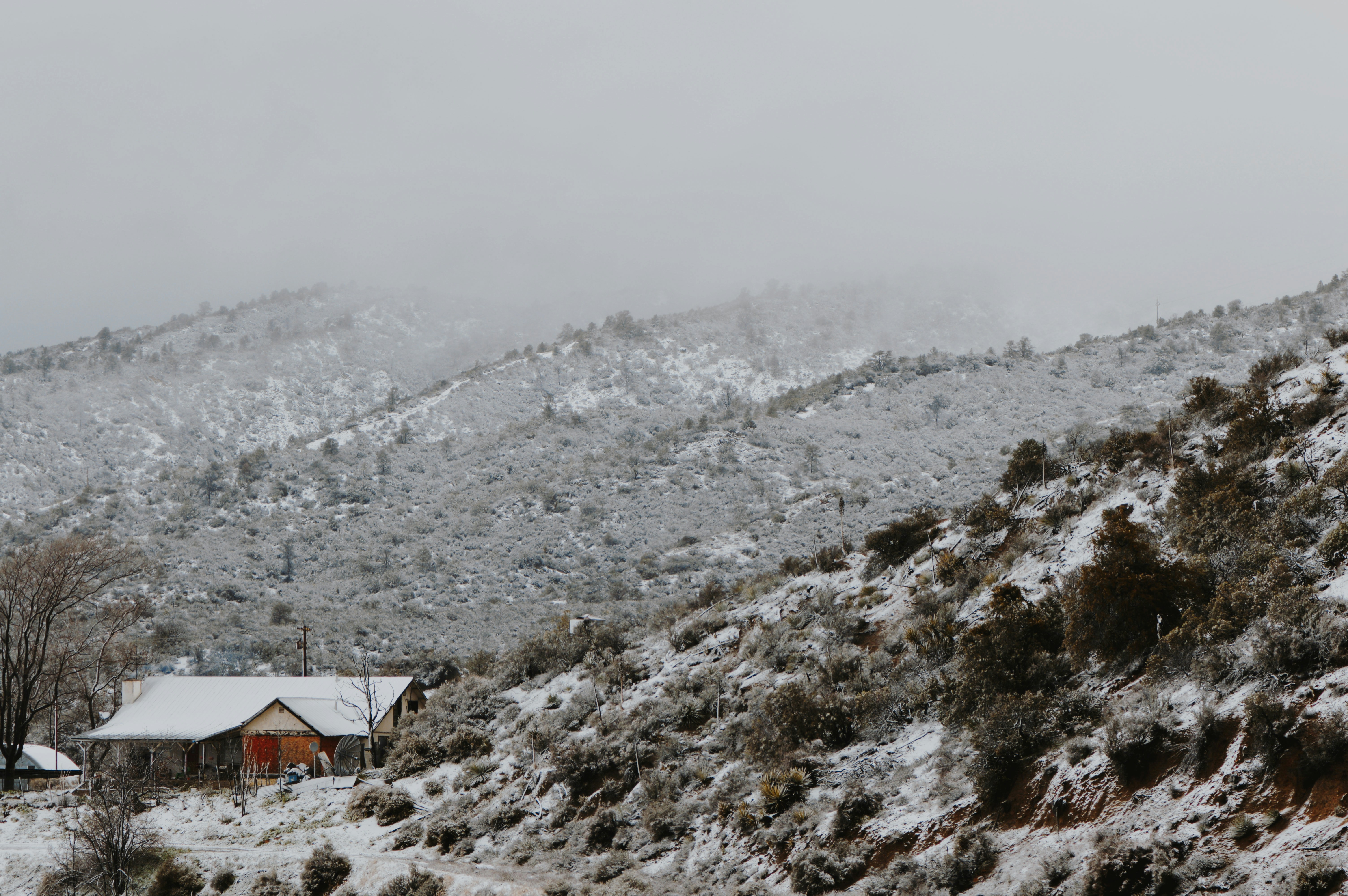 Photo by zoealexisphoto