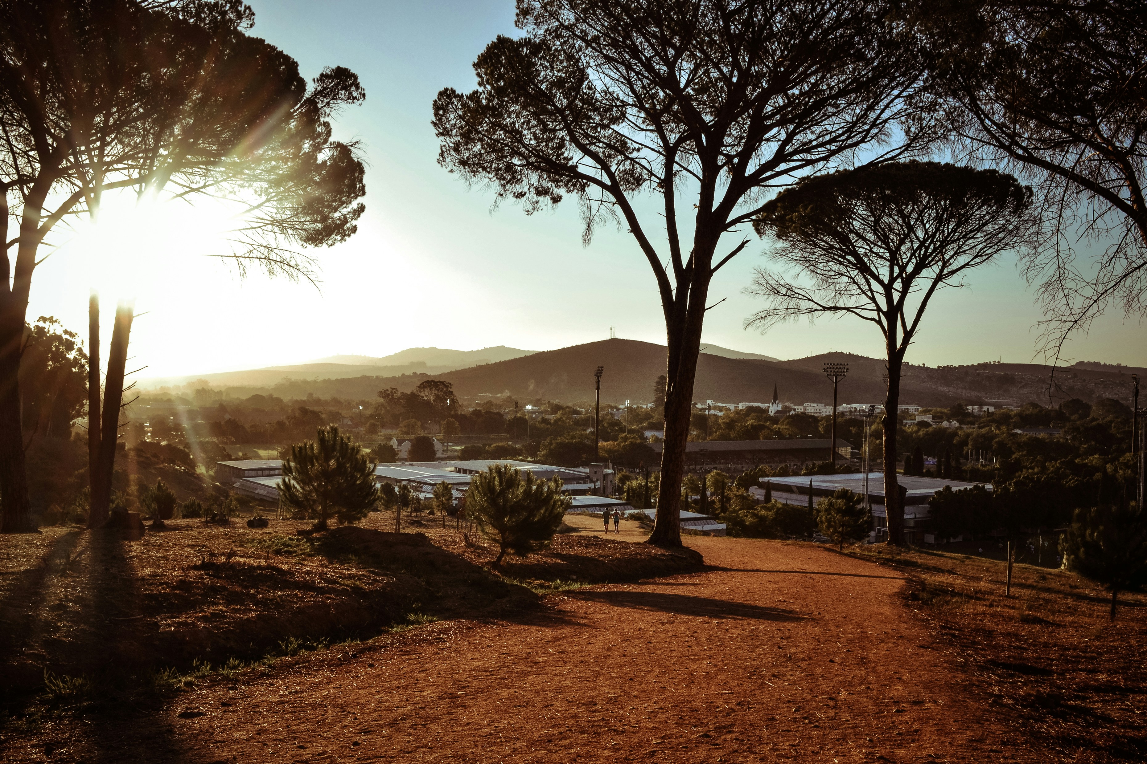 a landscape with trees and buildings