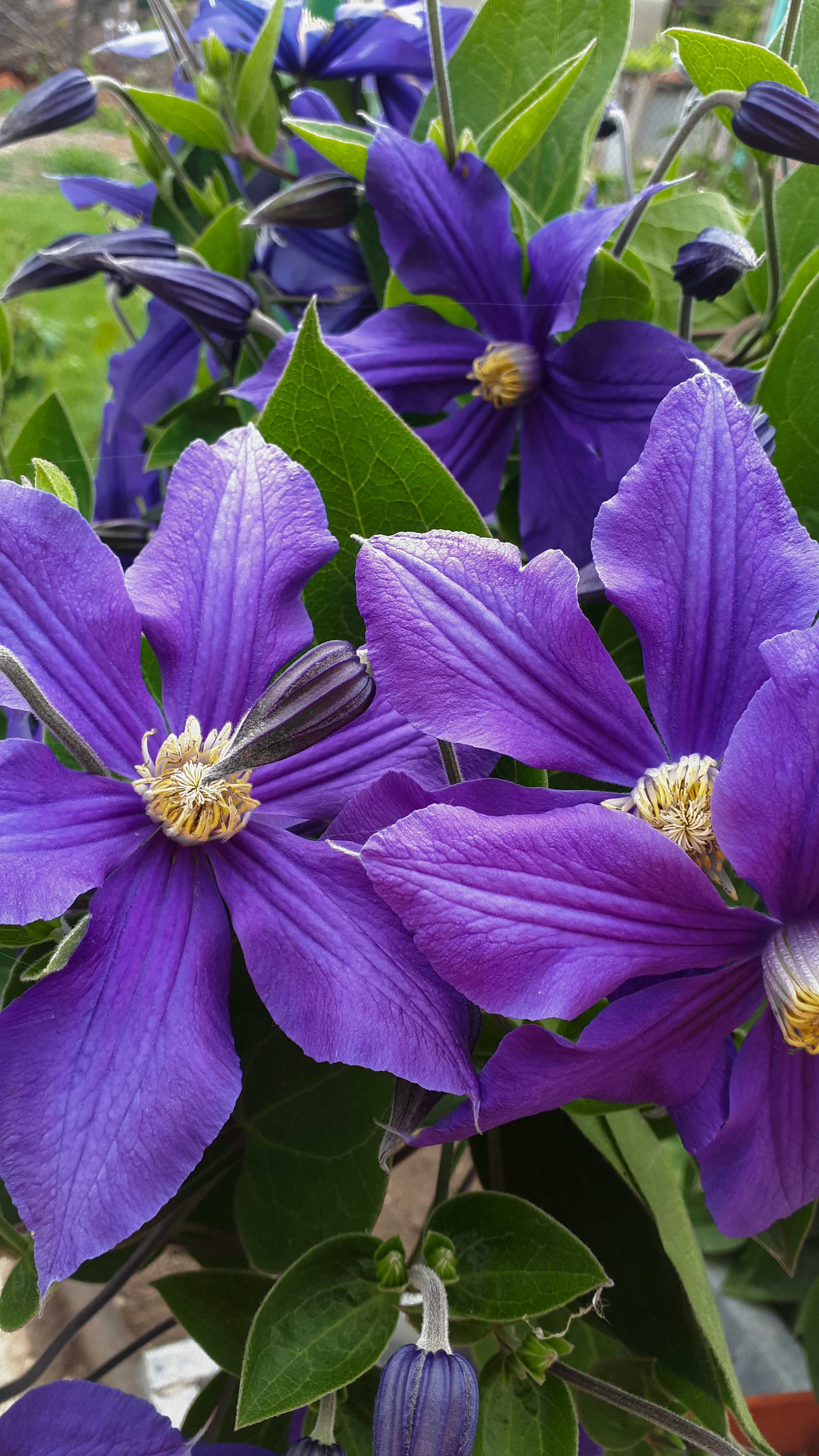 Photo by natalie1806