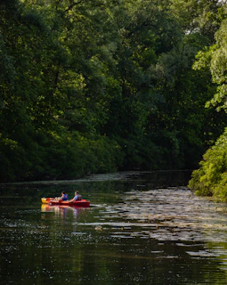 Couple enjoying a peaceful kayak ride surrounded by lush greenery and blooming flowers.