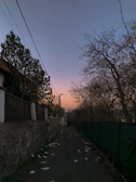 A narrow street at dusk, with scattered leaves and distant footsteps hinting at untold stories.