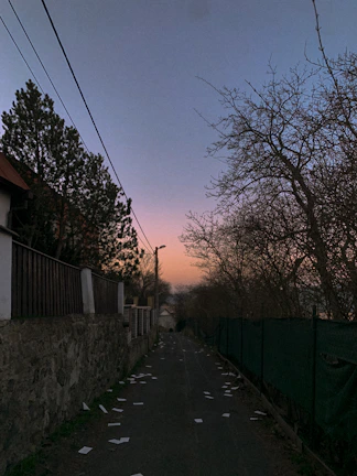 A narrow street at dusk, with scattered leaves and distant footsteps hinting at untold stories.
