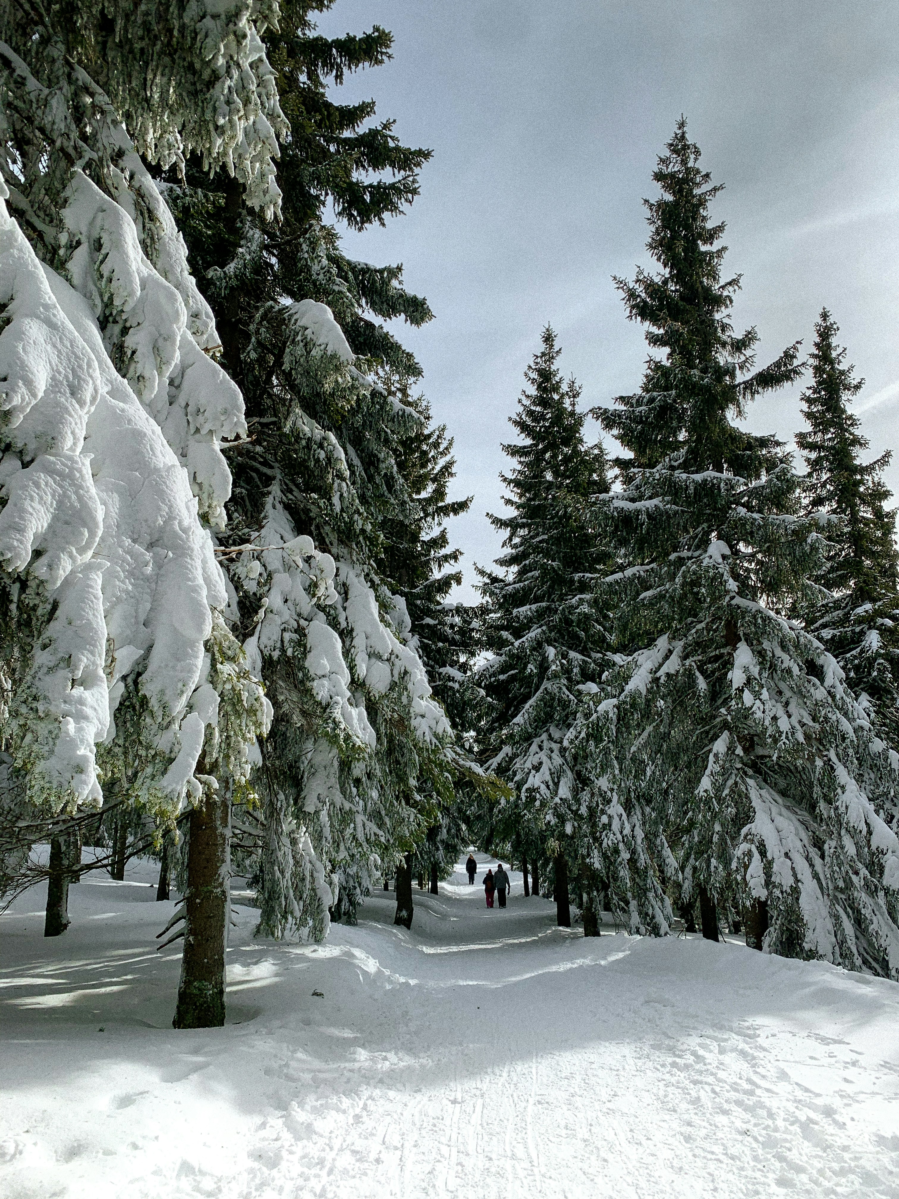 Photo by fiilipstary