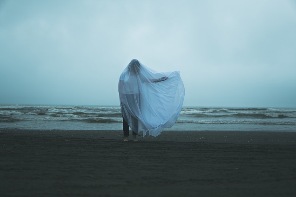 a dog with a sheet on its head on a beach