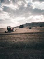 A farmer reviewing mobile data on a tablet while a robot continues its tasks in the background under clear skies.