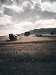 A vast agricultural field with a combine harvester working beneath a dramatic cloudy sky. The landscape includes a hill and scattered trees, with sunlight breaking through the clouds, casting shadows over the field.
