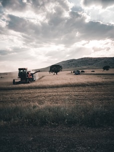 A vast agricultural field with a combine harvester working beneath a dramatic cloudy sky. The landscape includes a hill and scattered trees, with sunlight breaking through the clouds, casting shadows over the field.