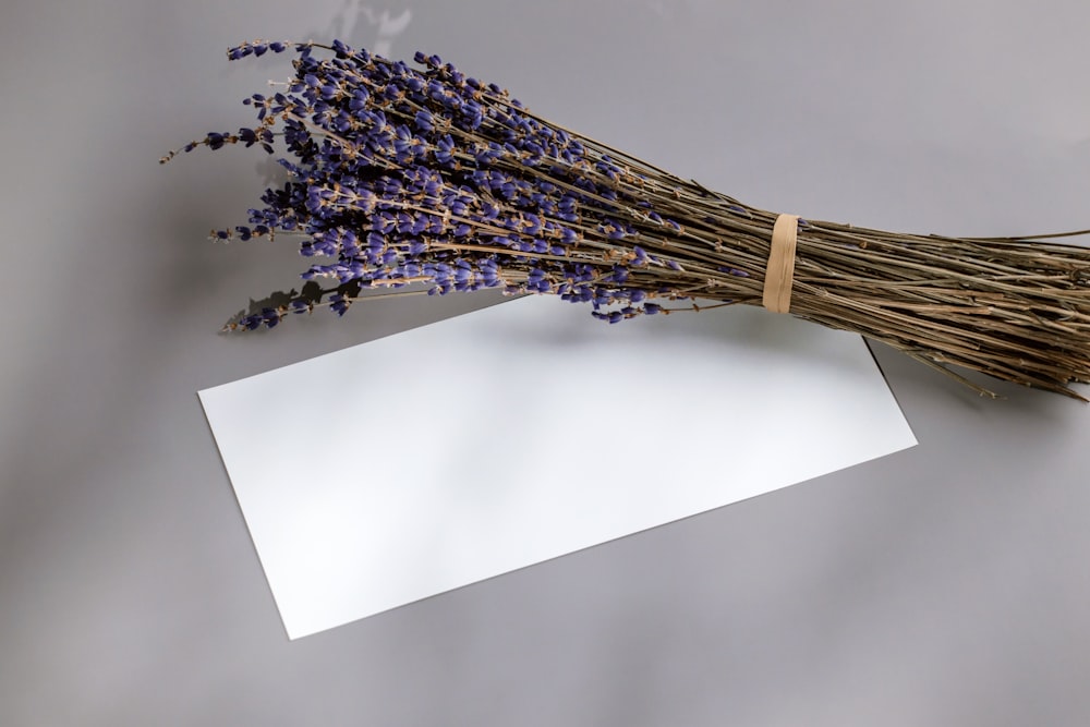 a tree branch with a book