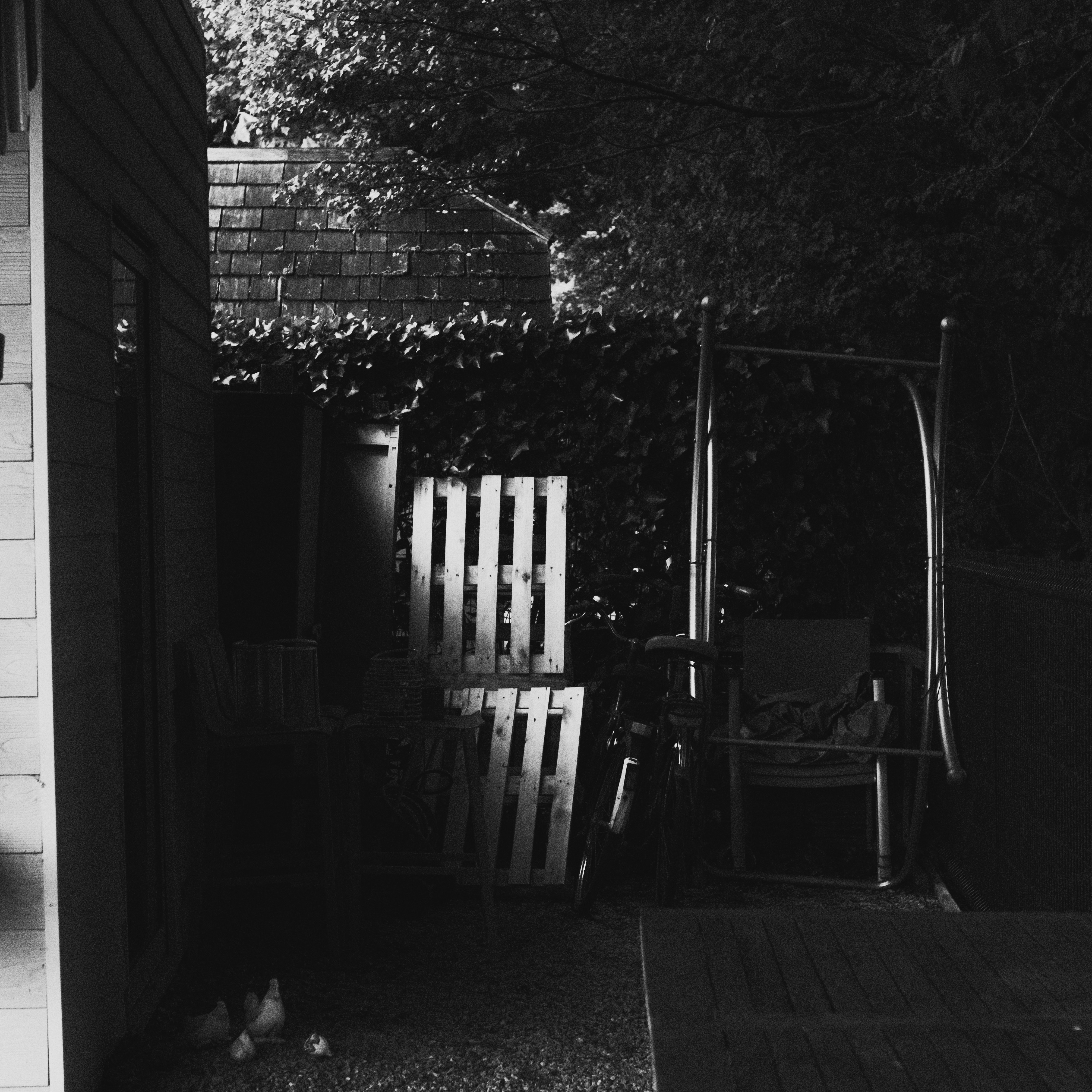 Photo by strangerrobijn123