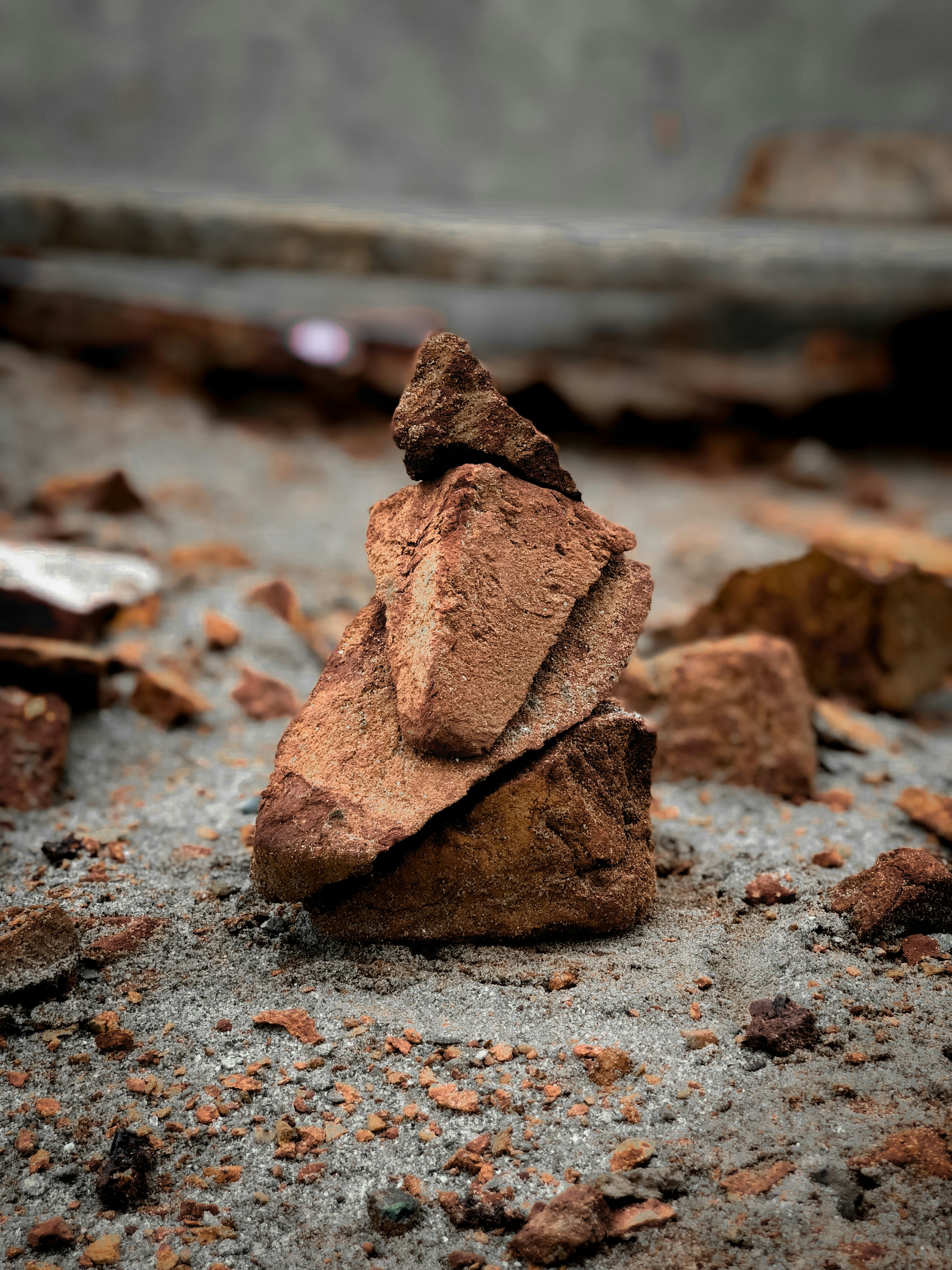 ngengat coklat di atas batu