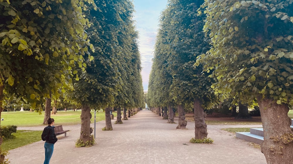 Eine Person, die auf einem Weg in einem Park geht